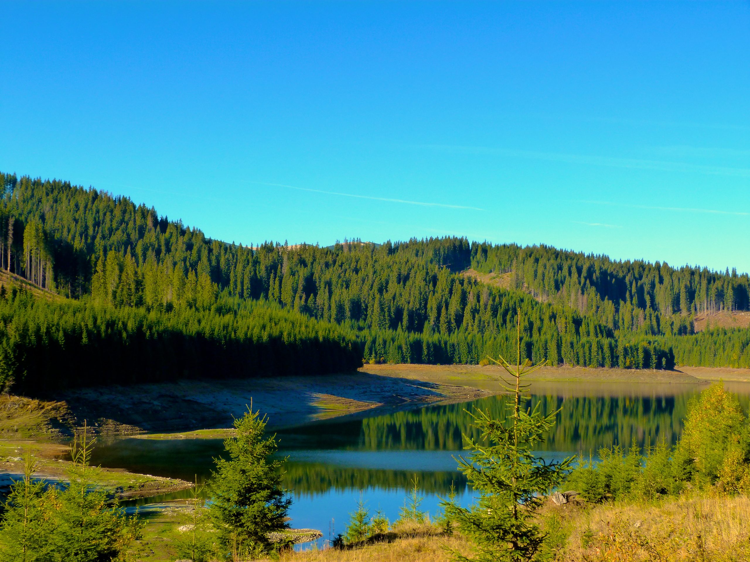 Gorgeous hiking trails in National Park Cozia