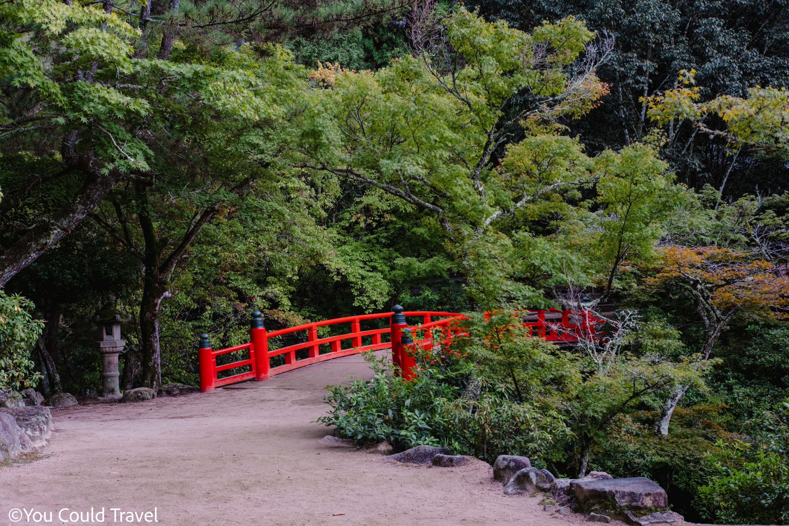 Gorgeous Japanese nature at the beginning of Mount Misen trail