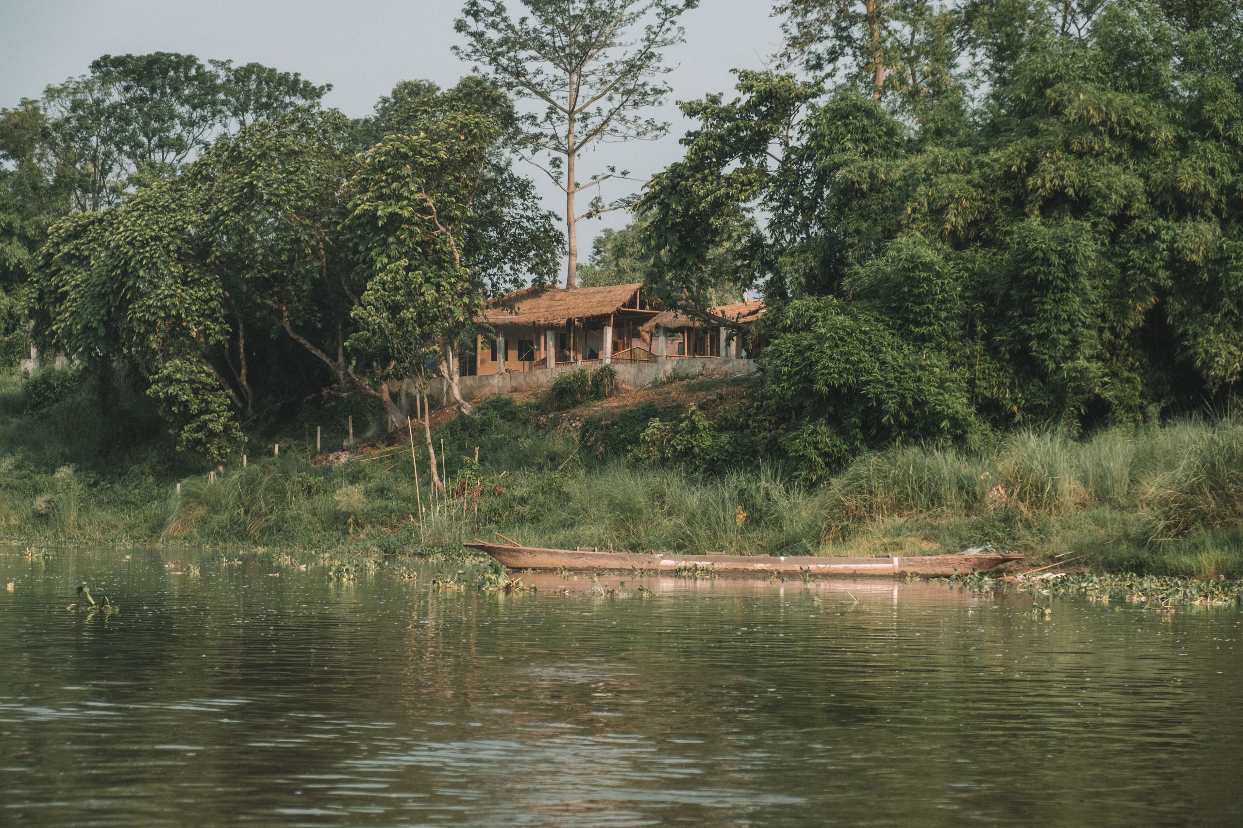 Gorgeous looking shores in Chitwan Gorgeous looking shores in Chitwan