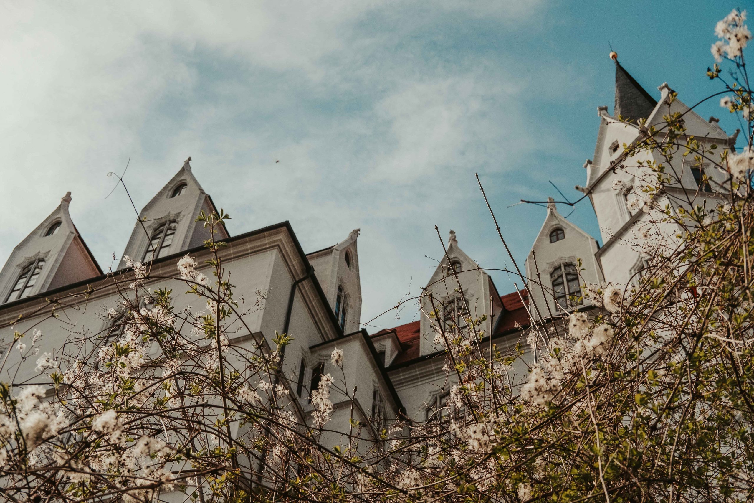 Gorgeous views of the Meissen castle from below Gorgeous views of the Meissen castle from below