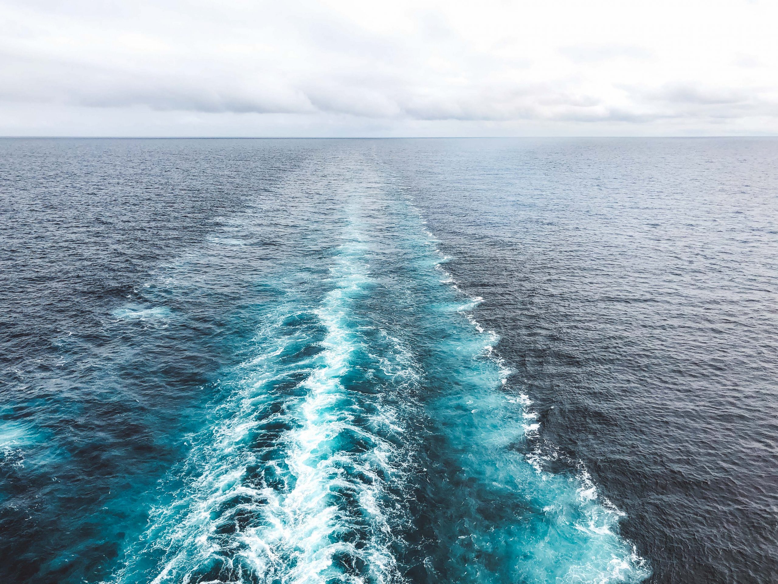 gorgrous views of the sea from the back of Princess Cruise