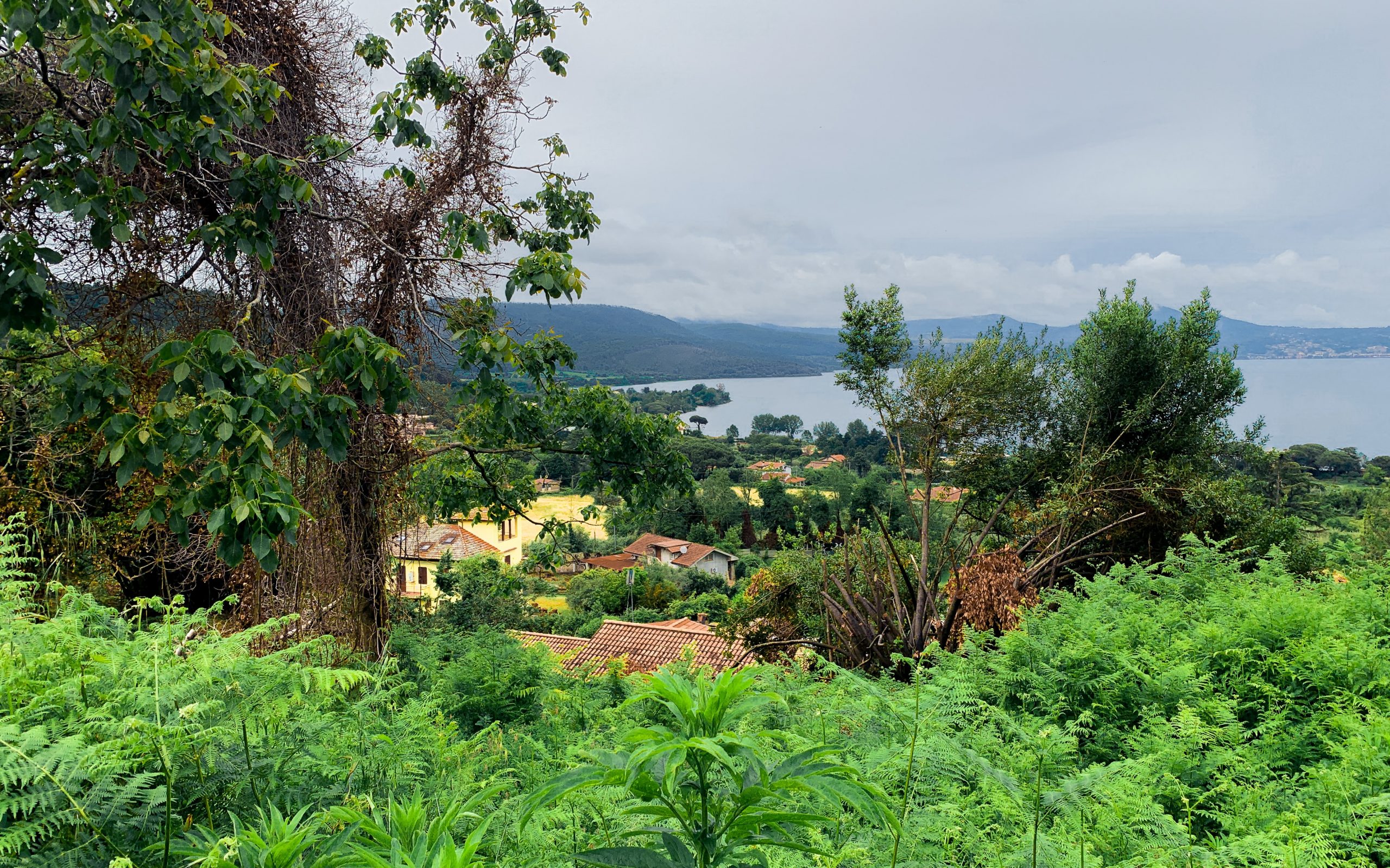 Take a day trip from Rome to Bracciano