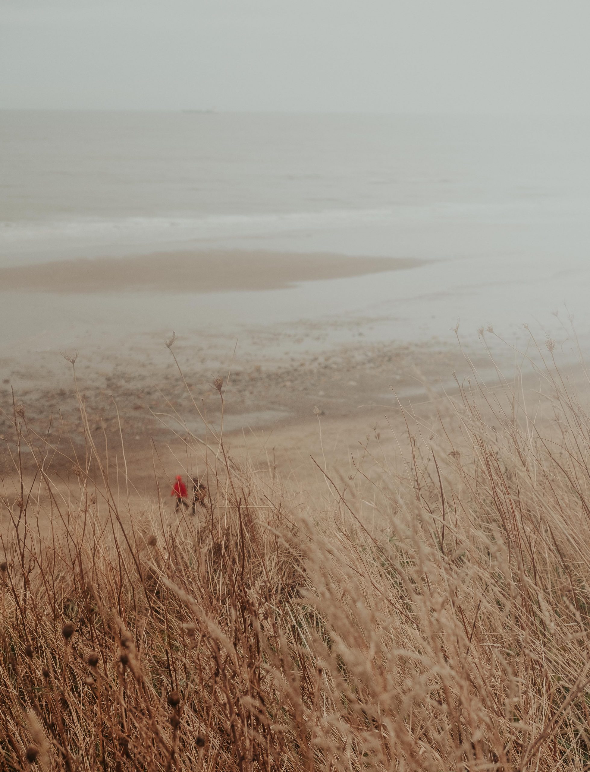 Gorgeous North Yorkshire Coast Beach in Sandsend