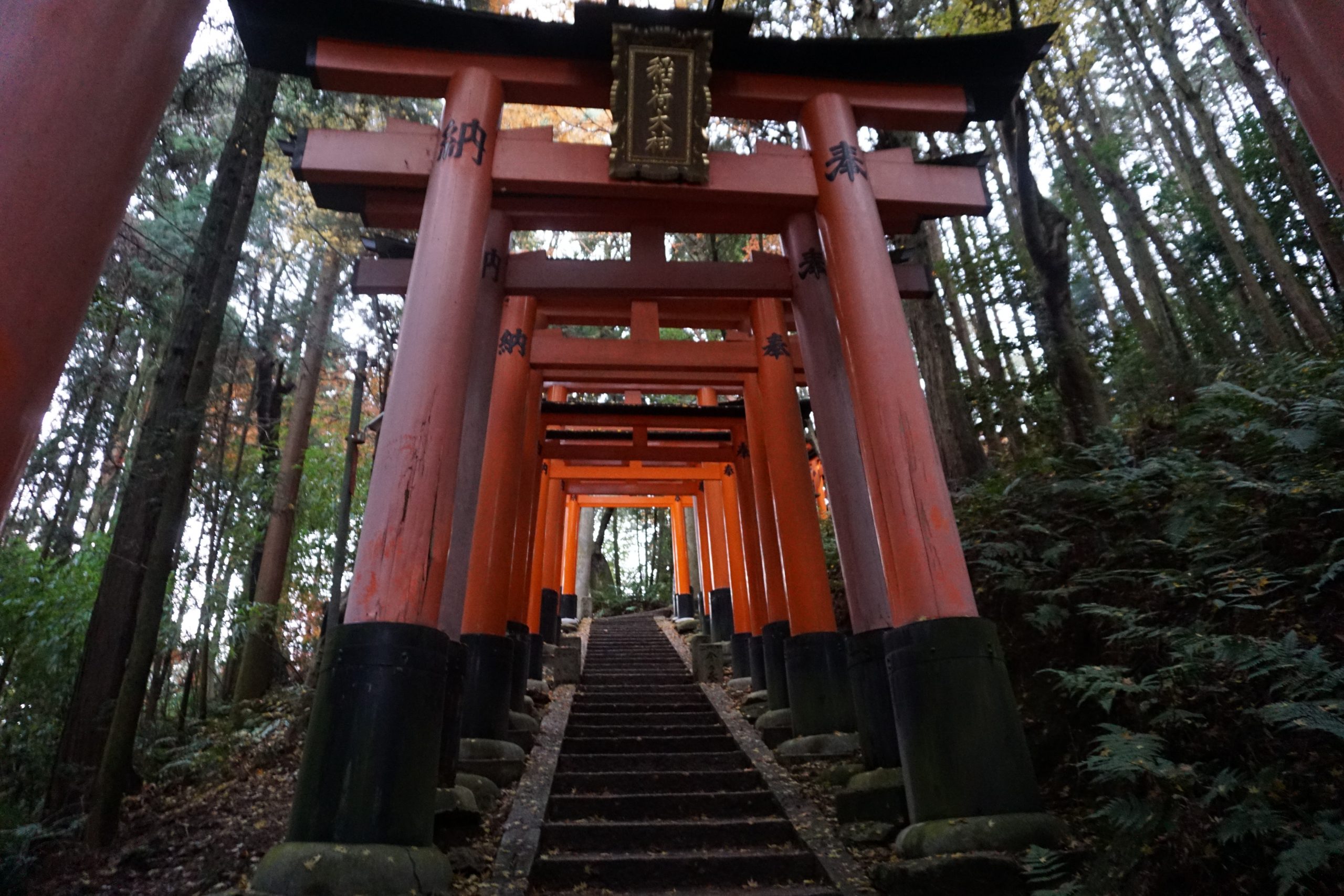 Larger and more imposing torii toward the top of the Fushimi Inari trail