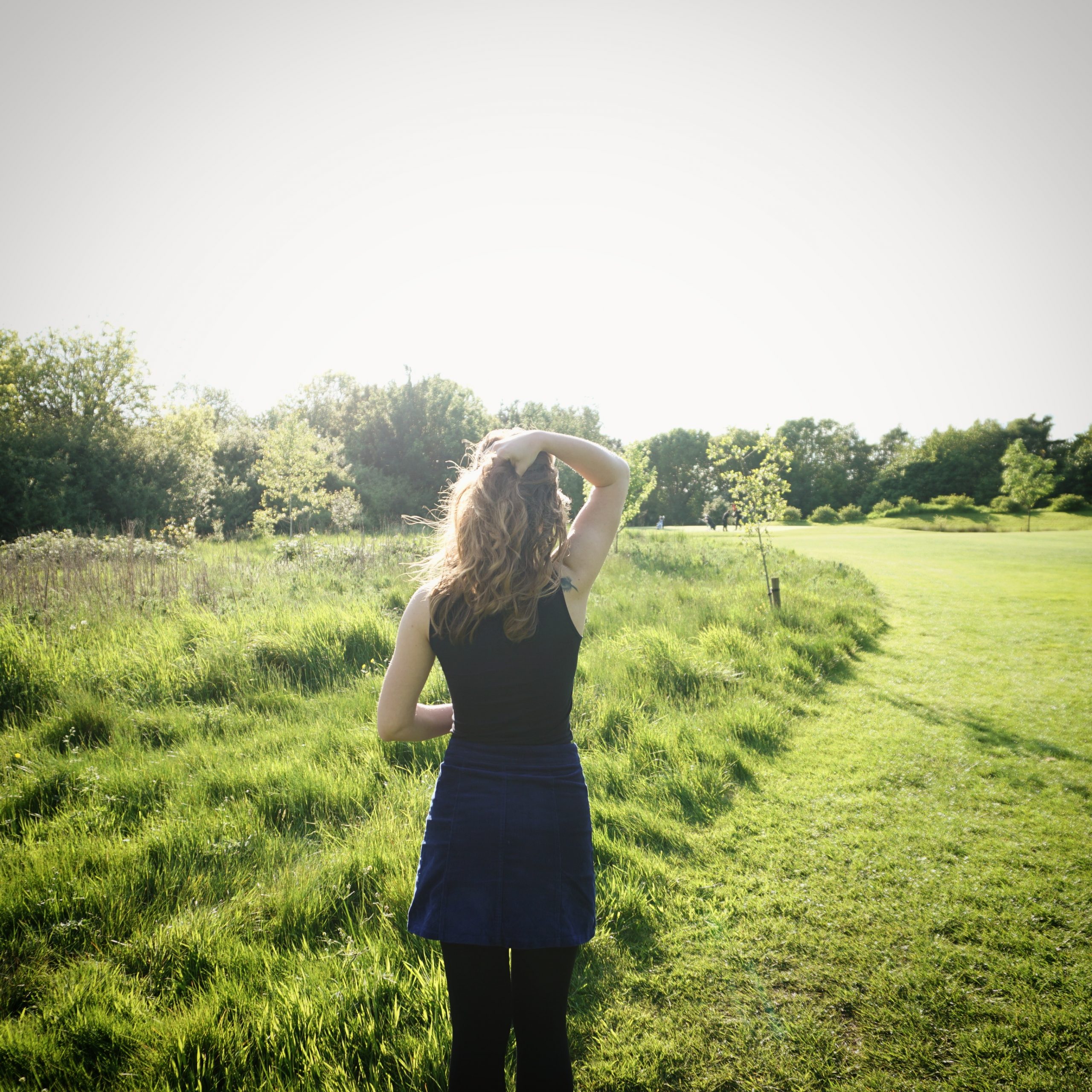 green fields bristol green fields bristol