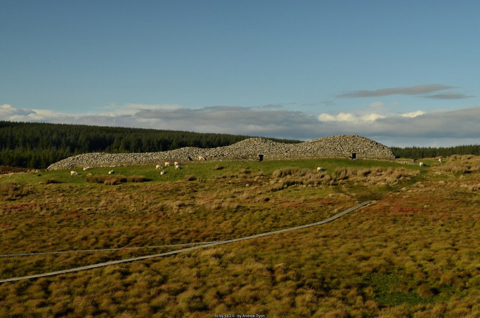 Grey Cairns of Camster Grey Cairns of Camster