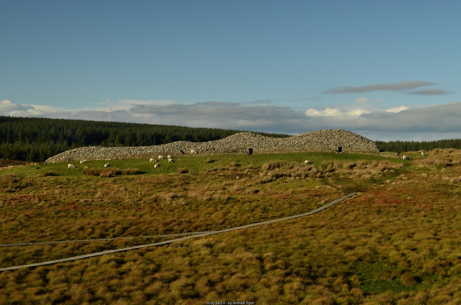 Grey Cairns of Camster