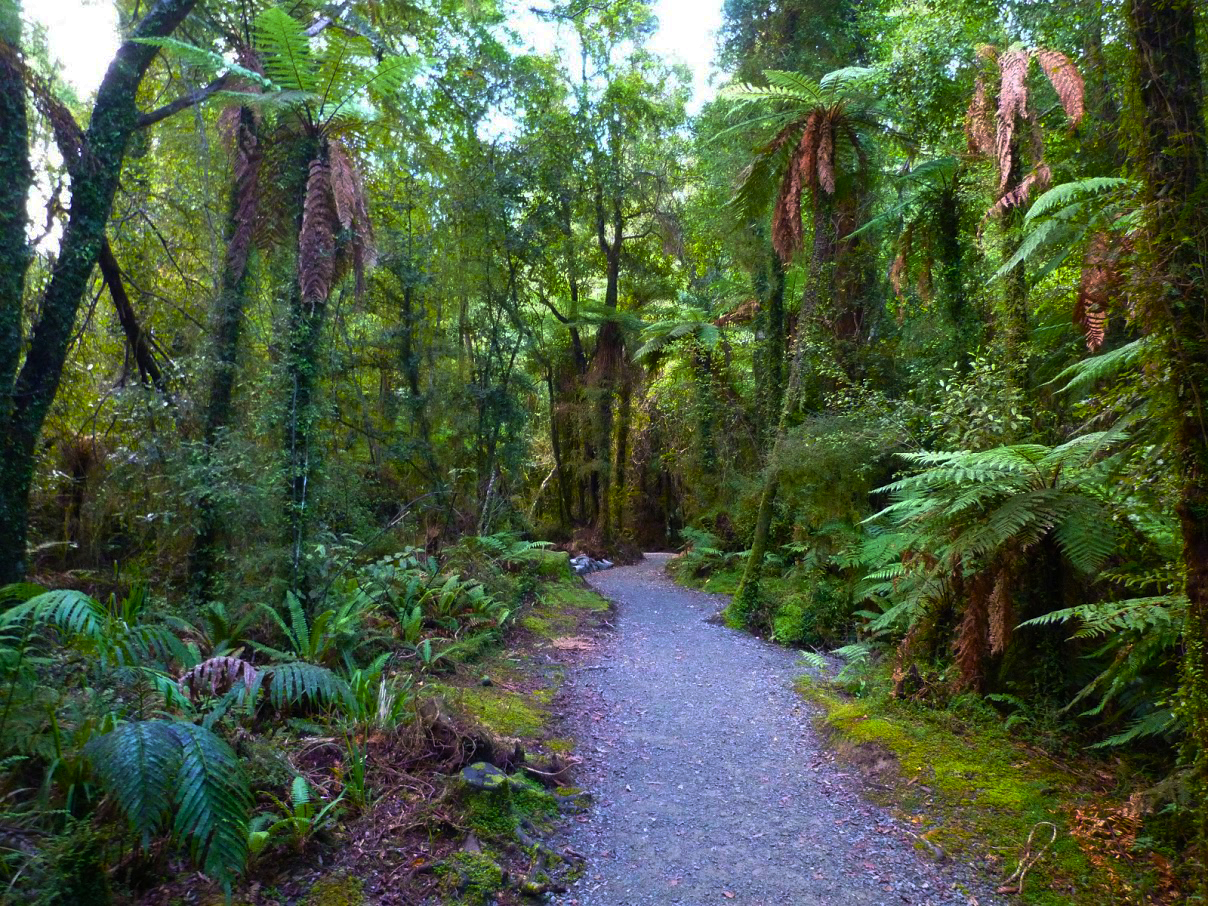 Hokitika Gorge Forest Path