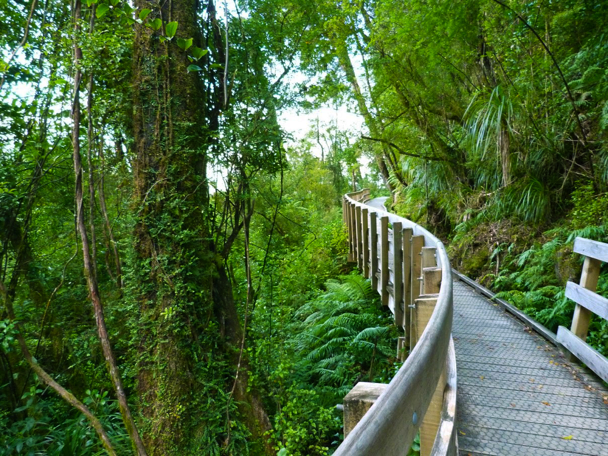 Hokitika Gorge Trail