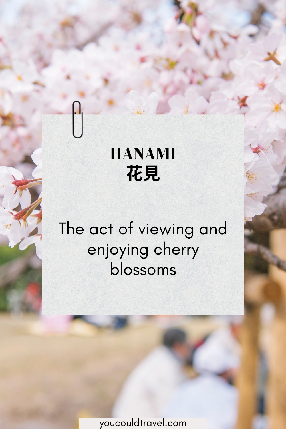 Hanami - the act of viewing and enjoying cherry blossoms Hanami - the act of viewing and enjoying cherry blossoms
