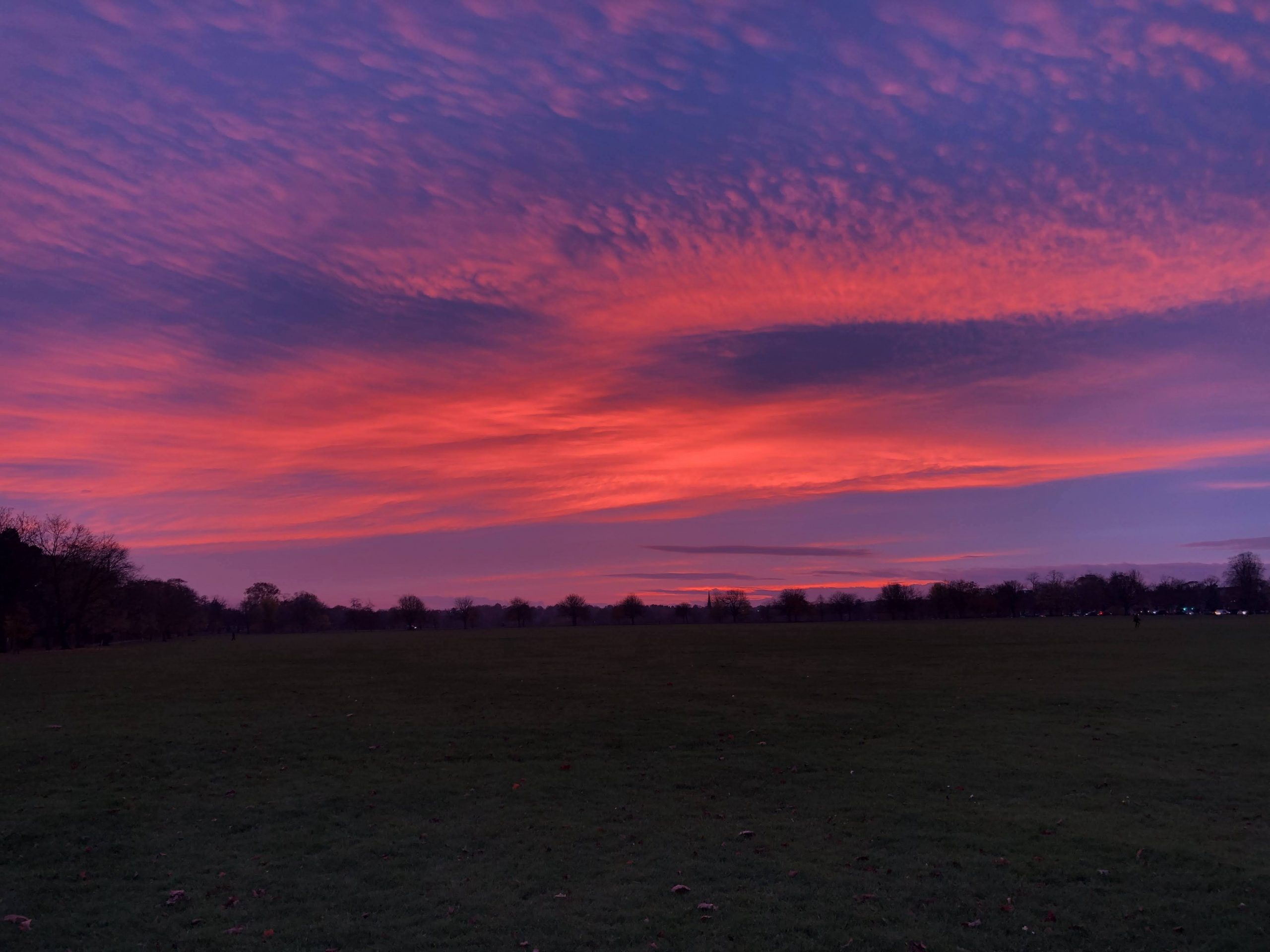 Harrogate Strays sunset Harrogate Strays sunset