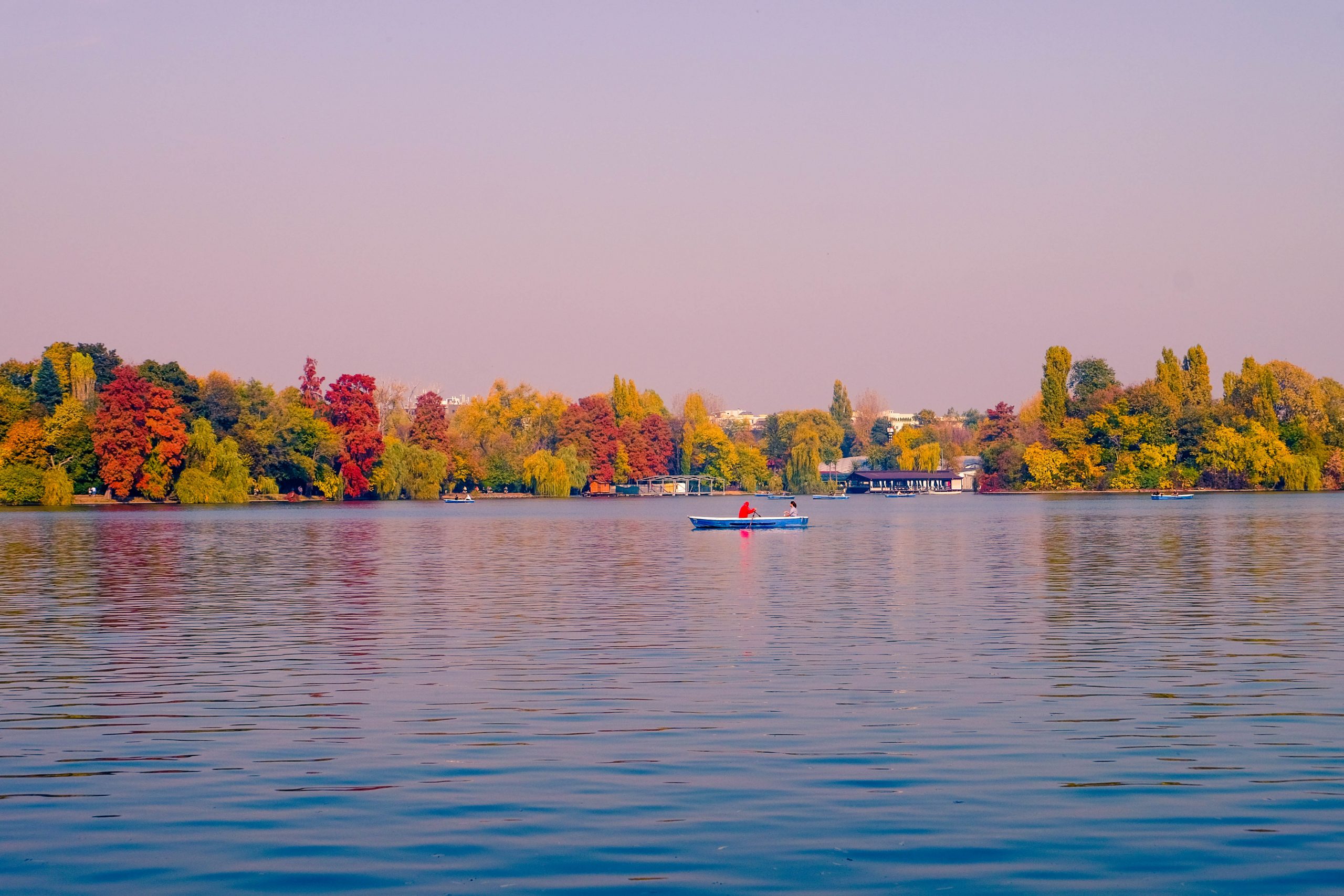 Herastrau Lake Saturday Morning