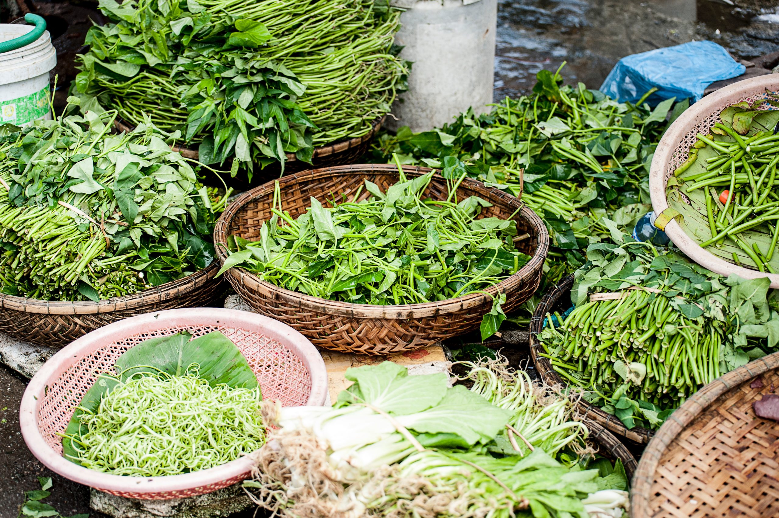 Herbs and spices in Vietnam