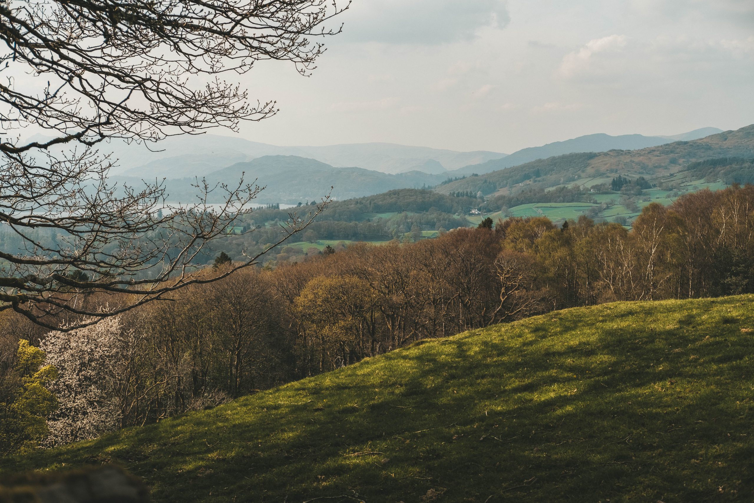 Hike in the forest in windermere Lake District