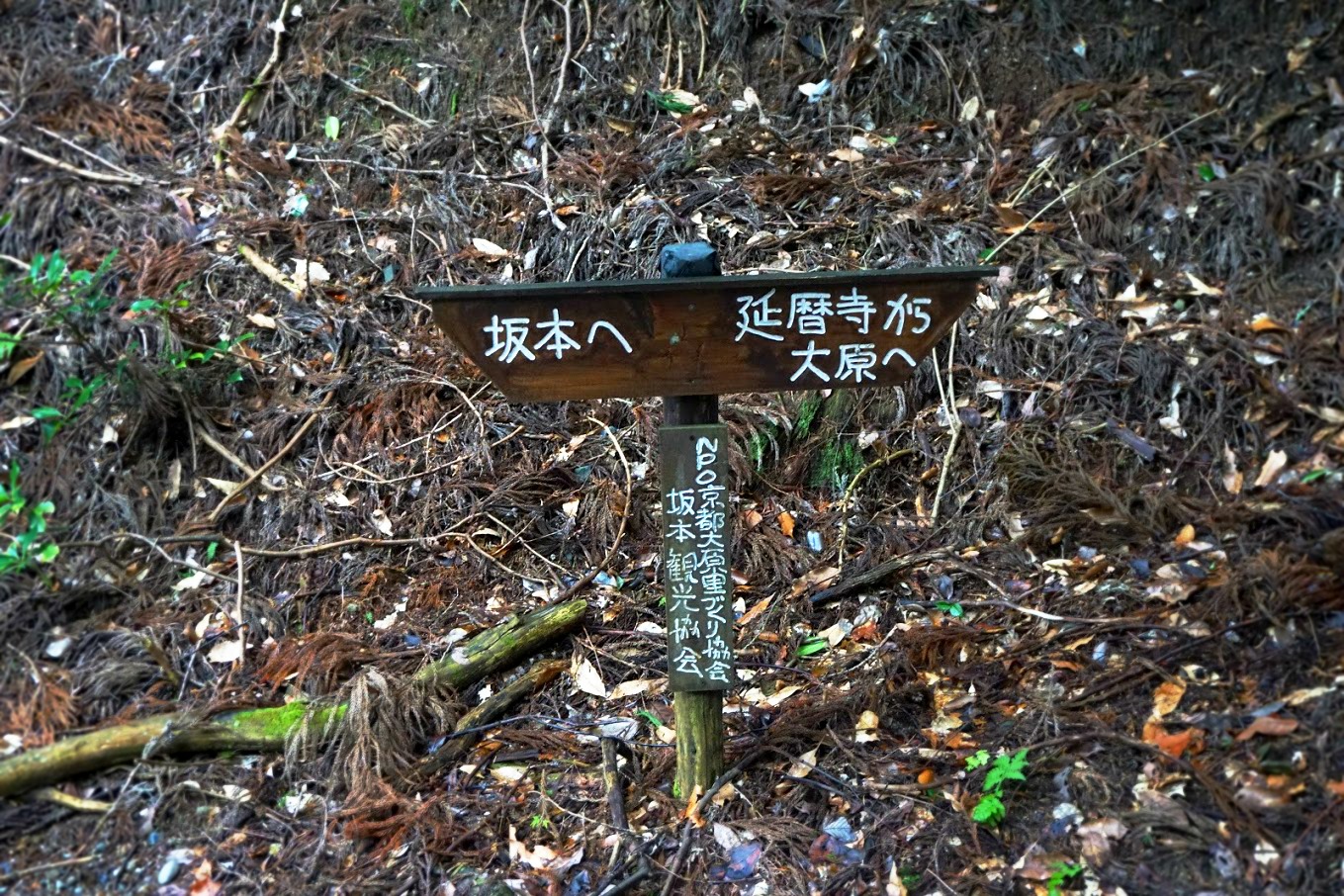 Hiking down Mount Hiei