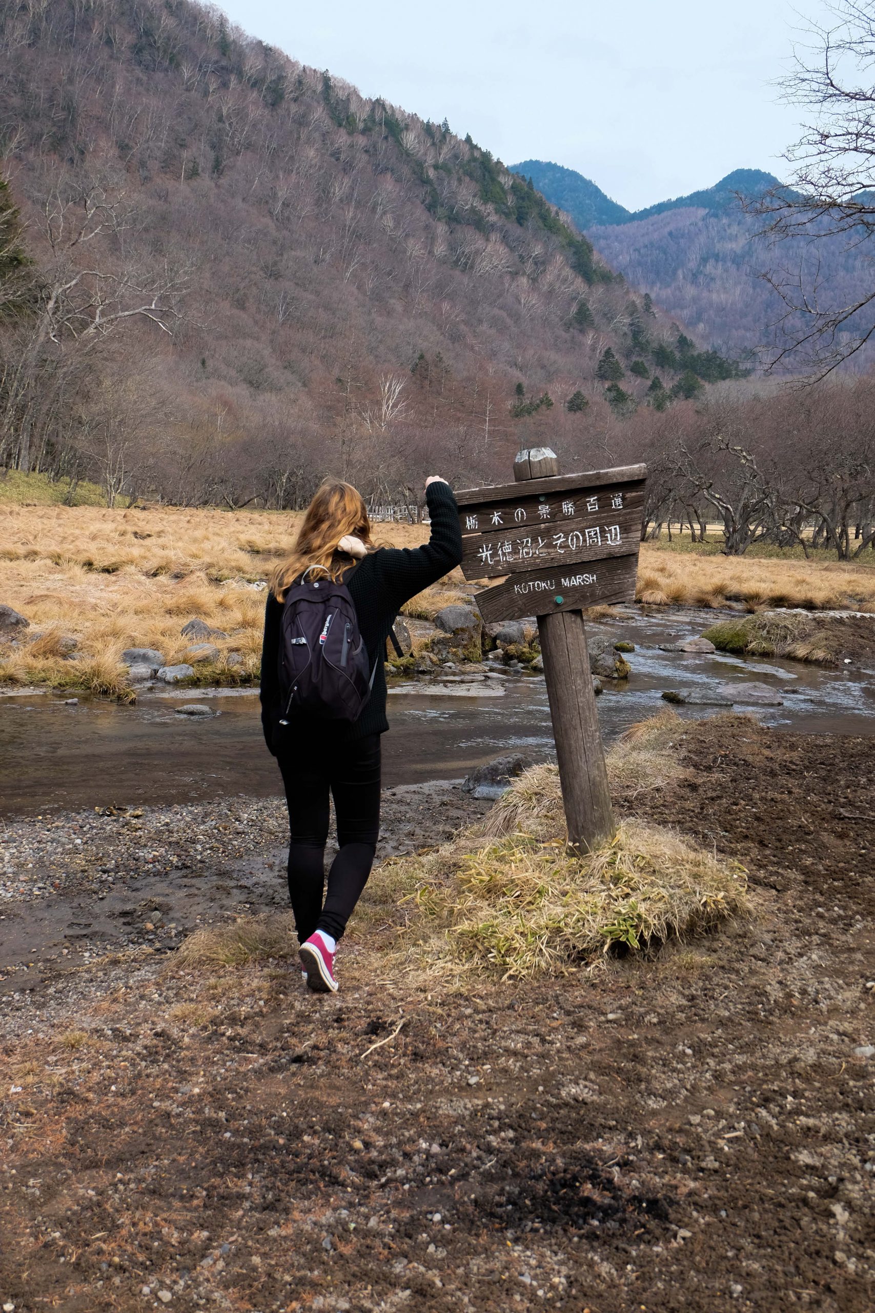 Hike Next To the hotel Nikko