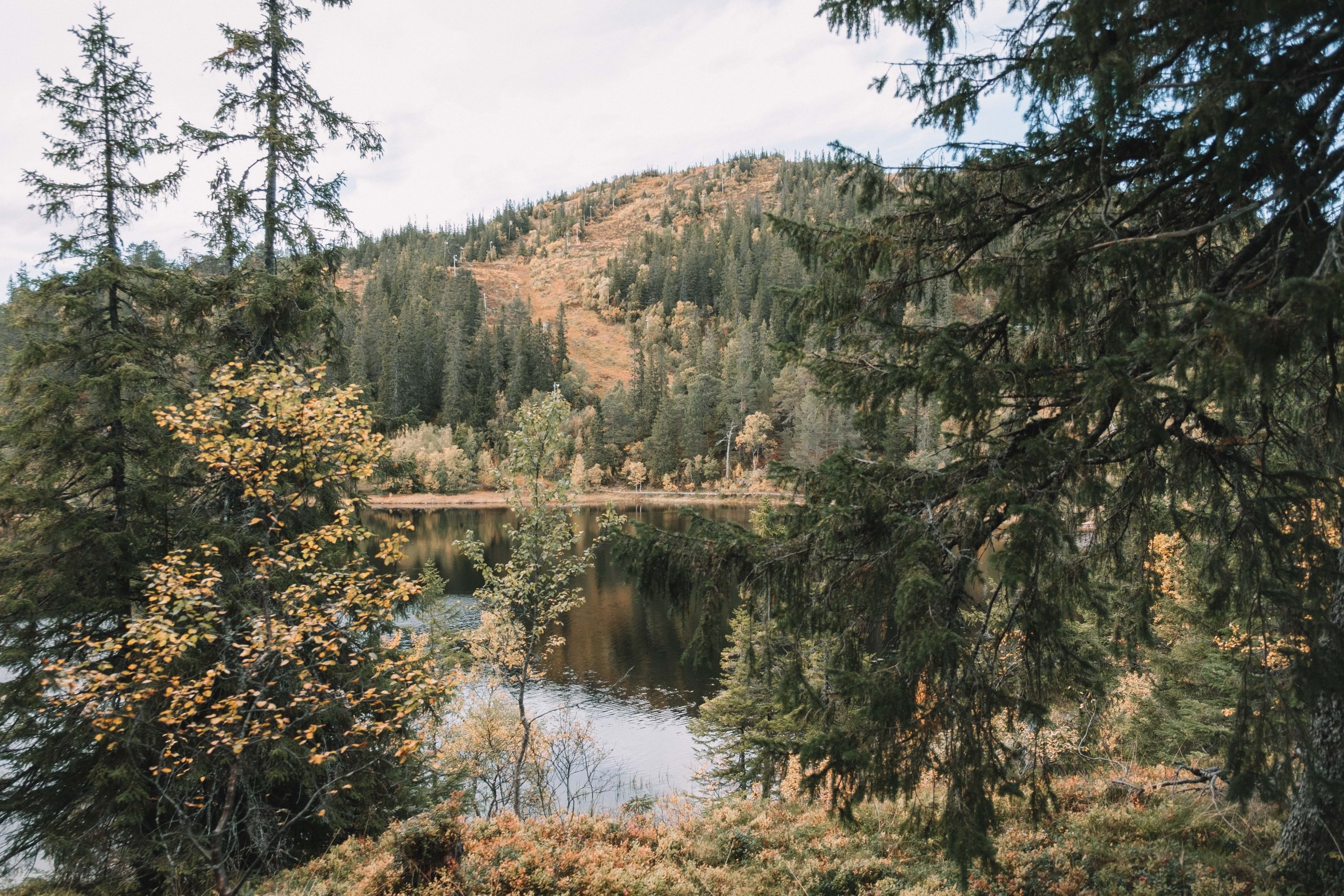 Hike next to Trondheim