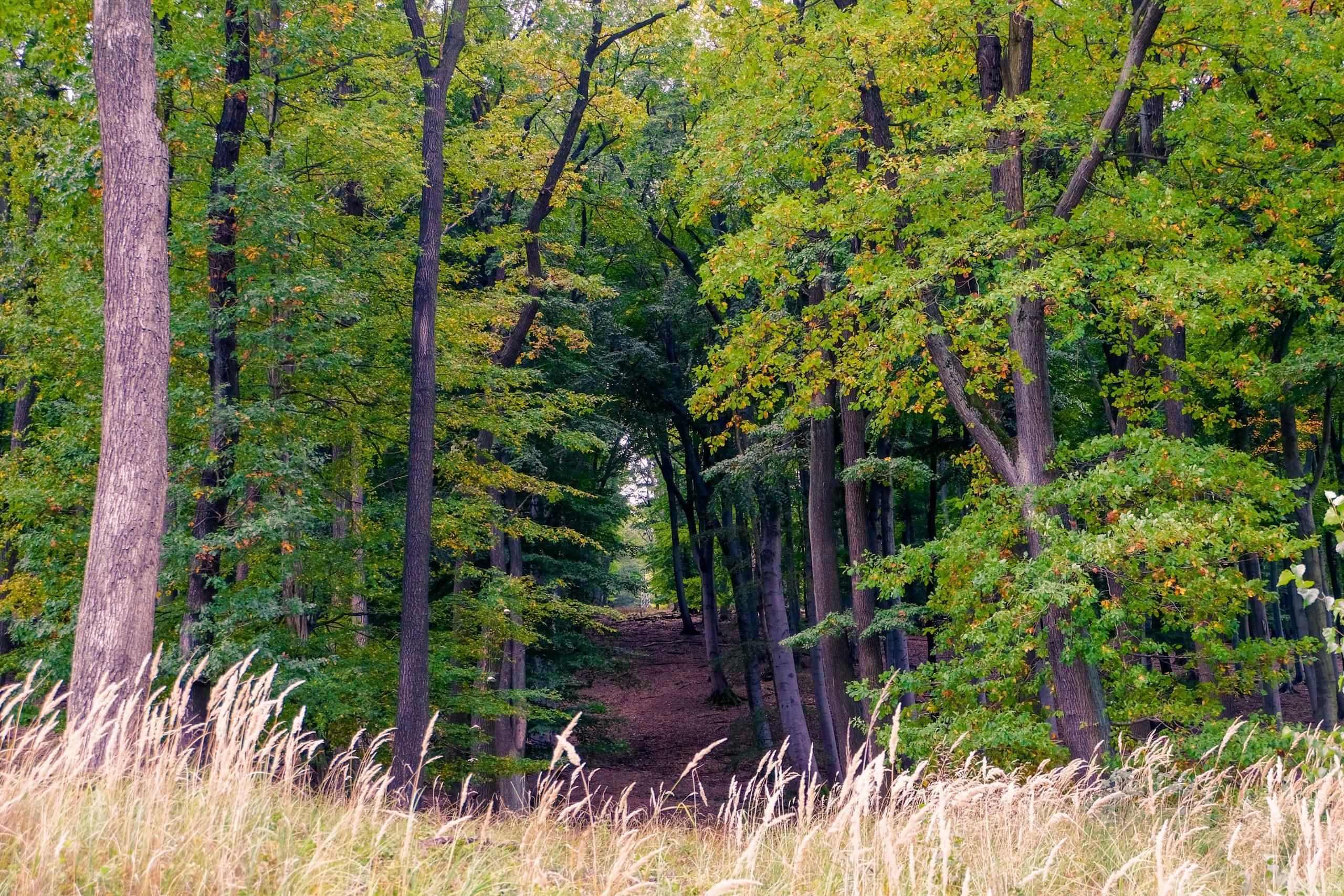 Hike Vienna