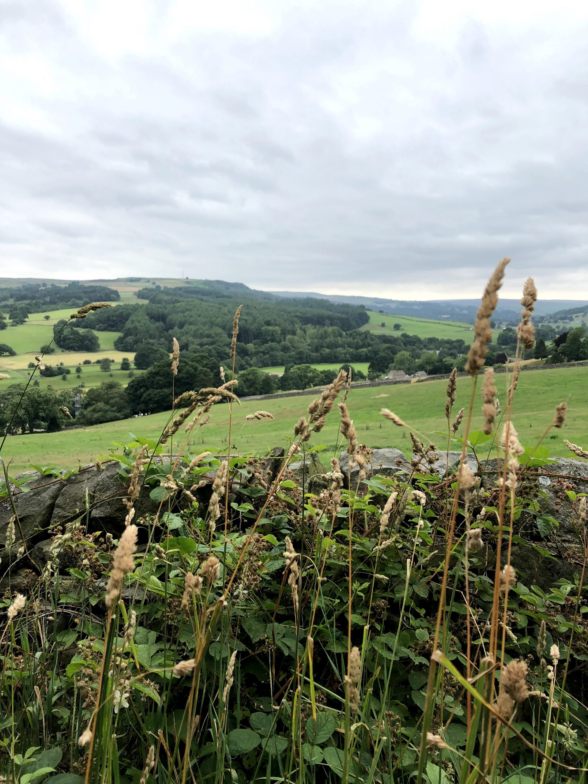 Hikes from Pateley Bridge England