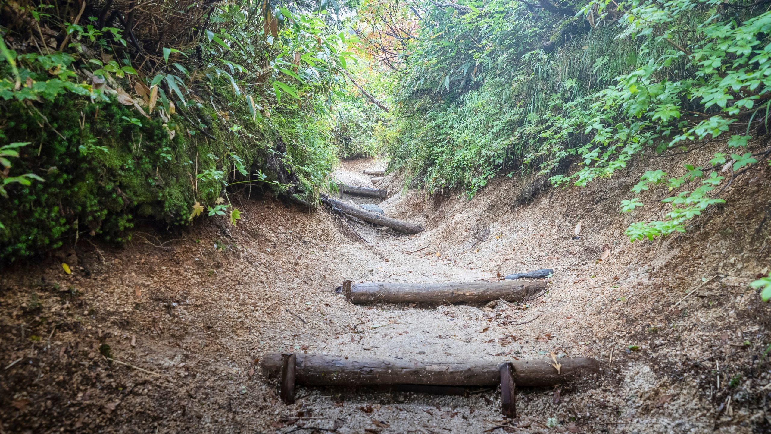 Hiking trail in Nagano mountains