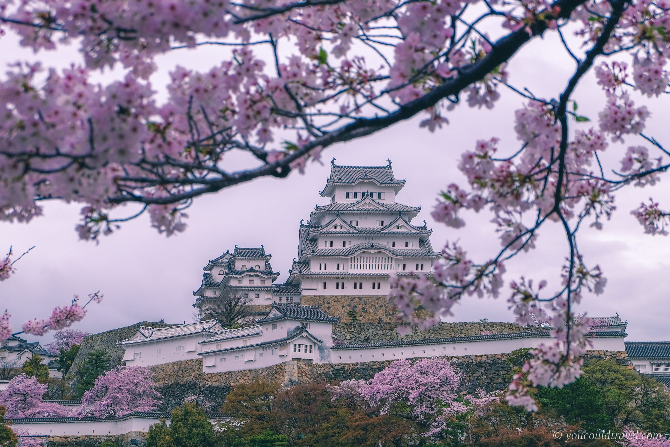 Himeji Castle during sakura season as part of my 3 weeks in Japan itinerary