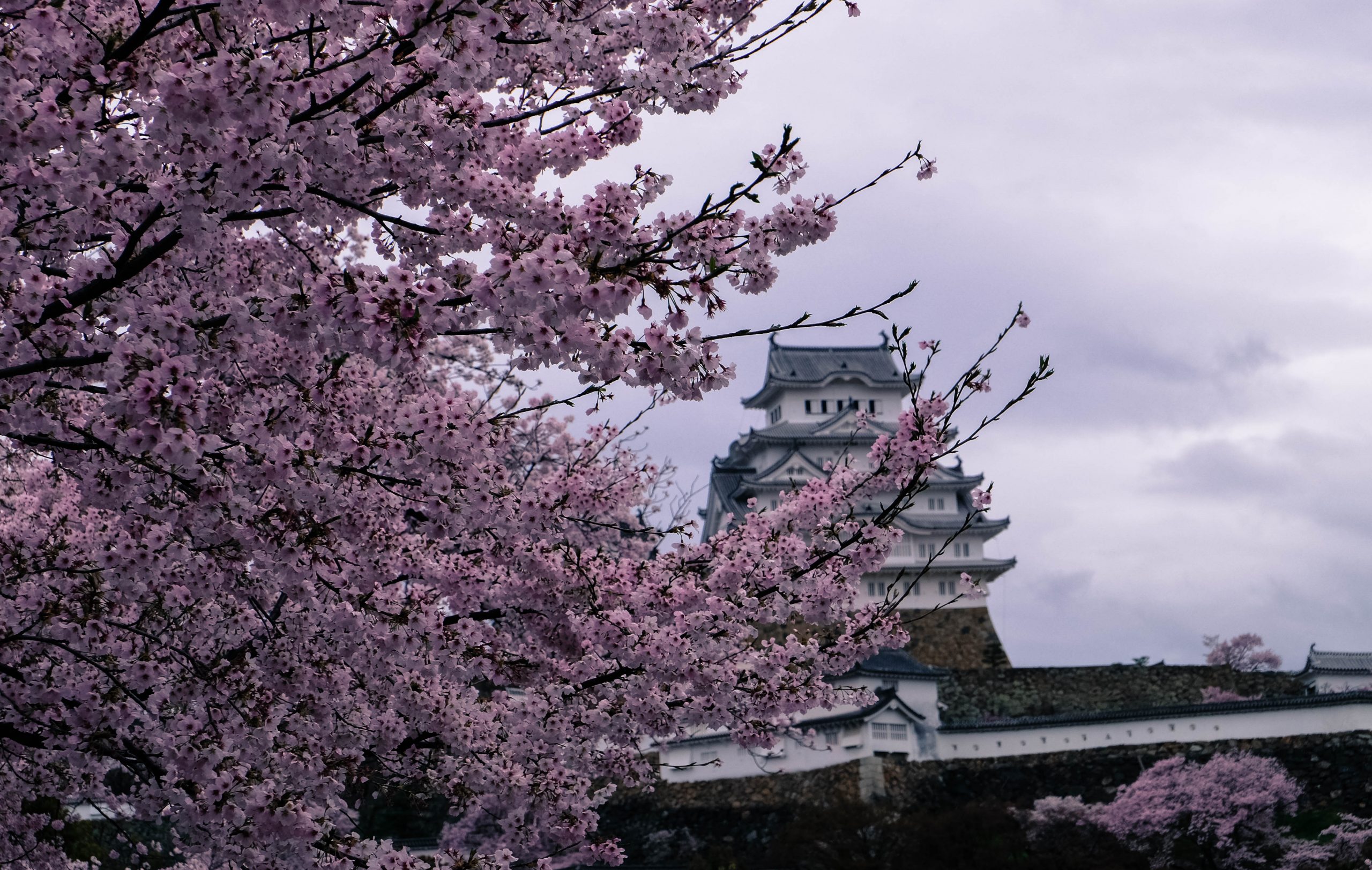 Himeji Castle Japan