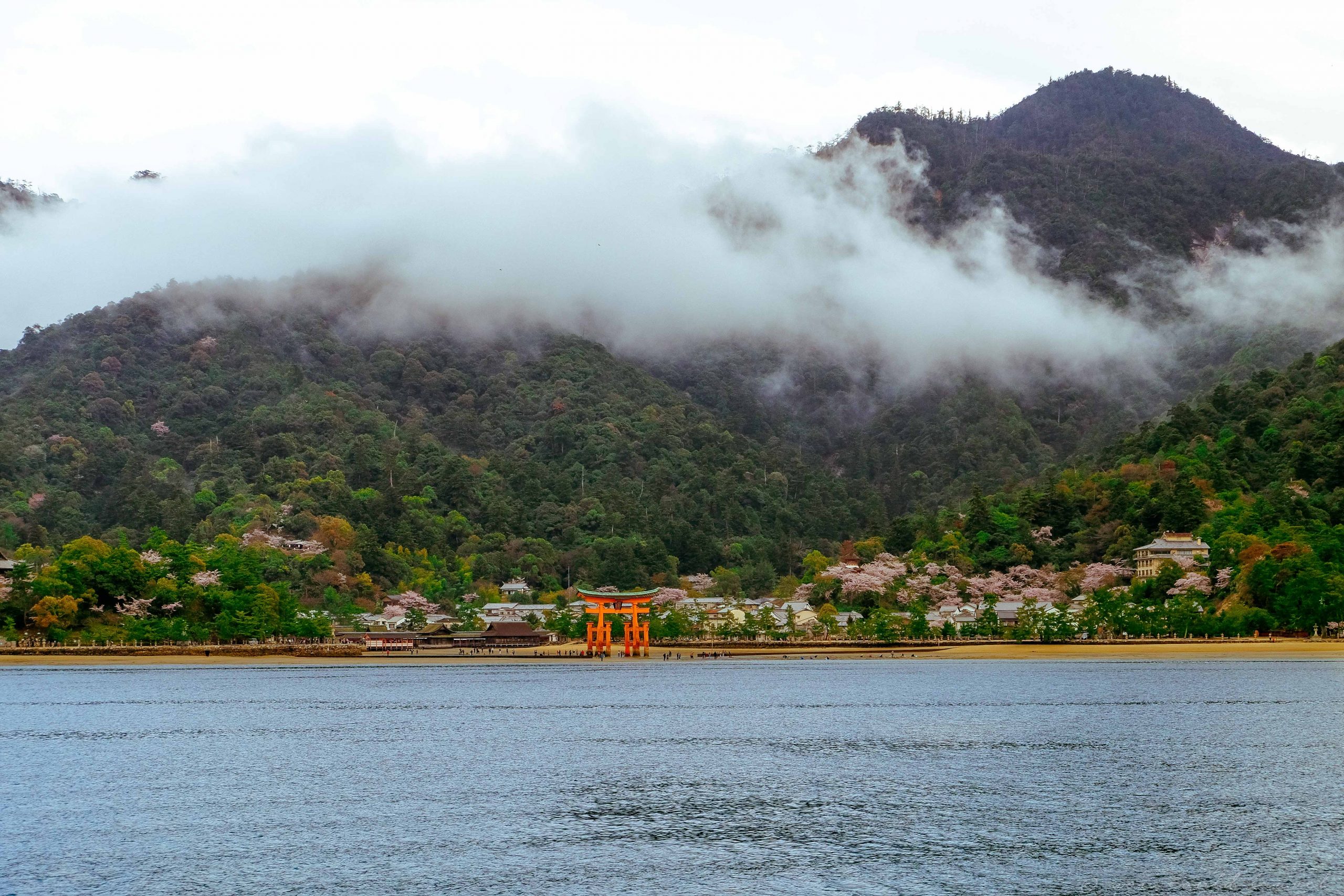 Miyajima floating gate and the tip of Mount Misen Miyajima floating gate and the tip of Mount Misen
