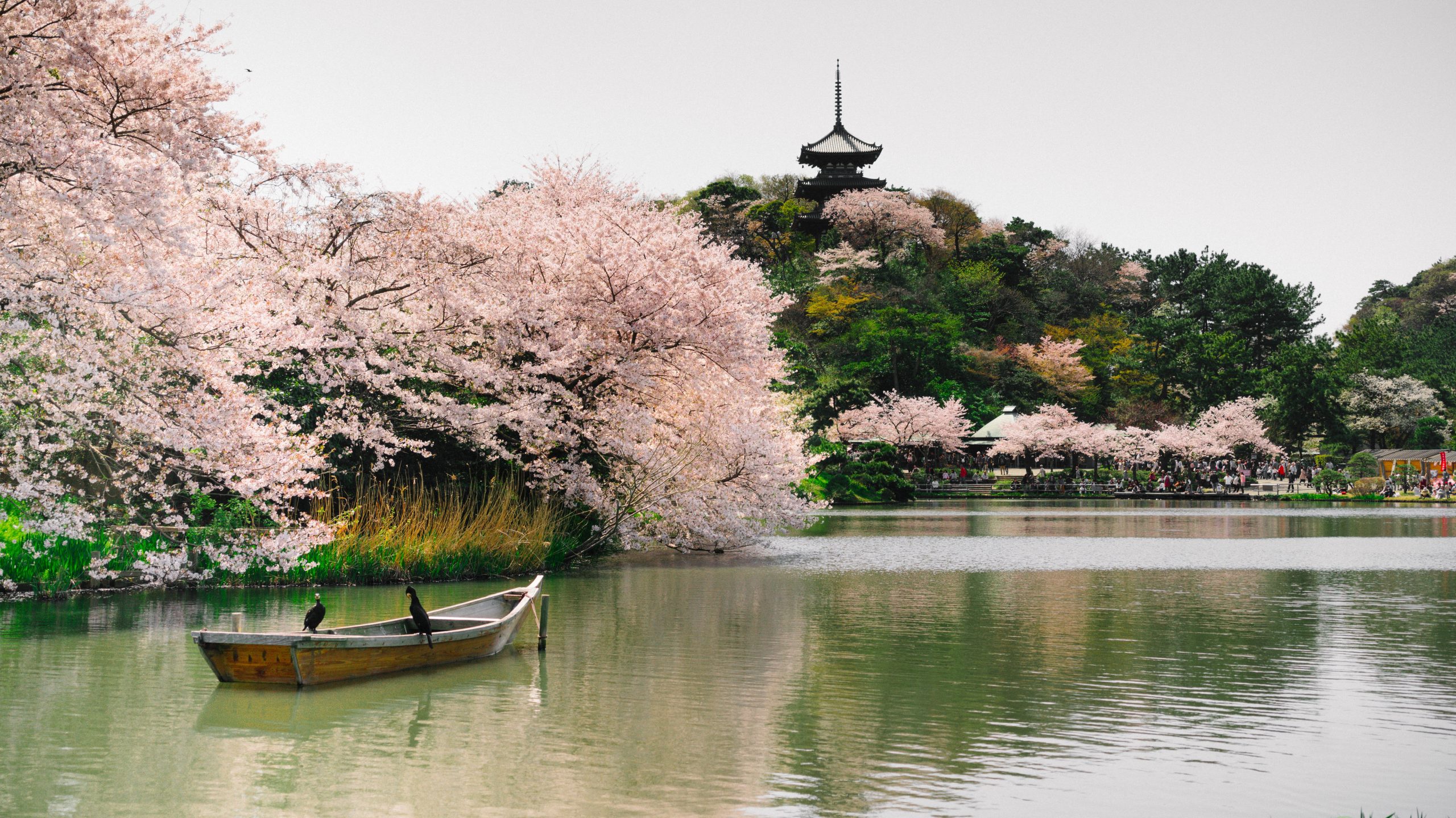 Honmokusannotani, Sankei Garden, Yokohama, Japan