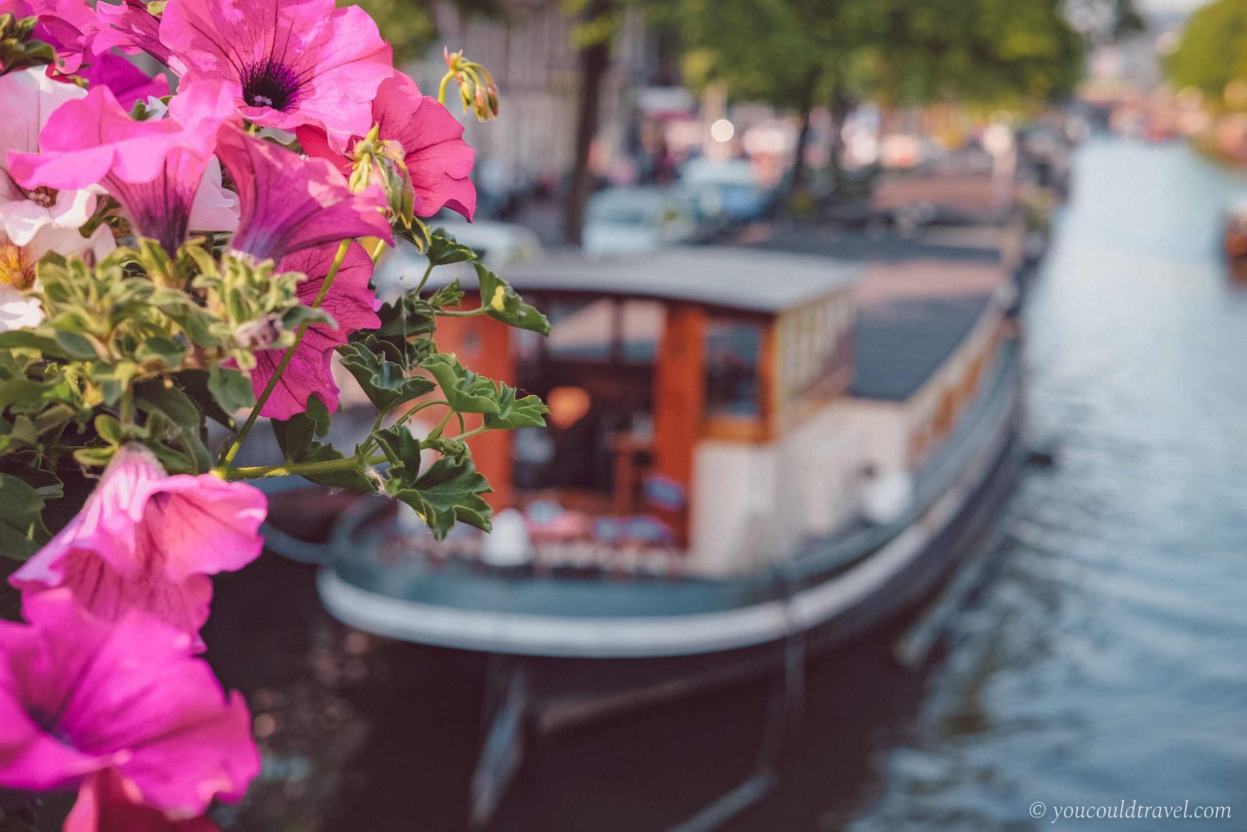 Houseboats Amsterdam