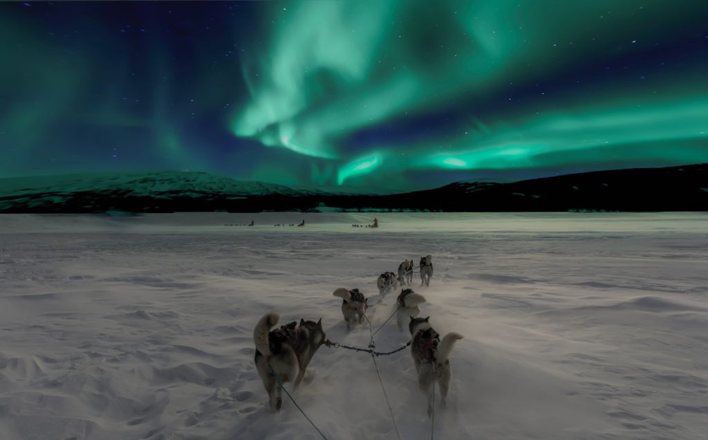 Huskeys pulling a slays under the Iceland Aurora Borealis