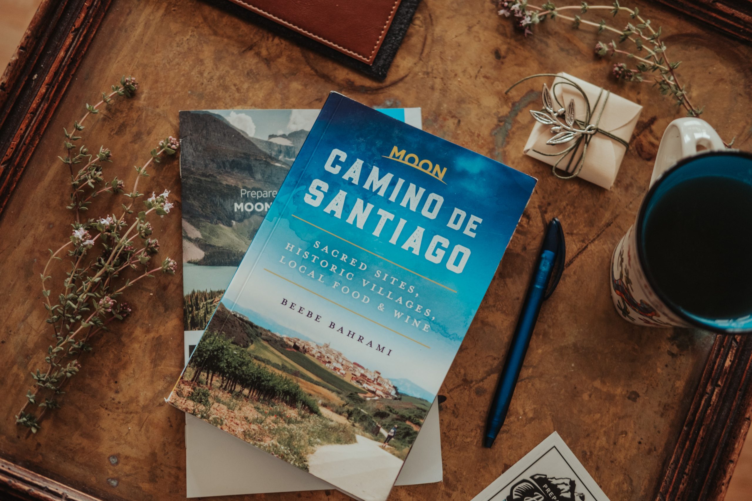Moon Travel Guide for Camino de Santiago trek Moon Travel Guide for Camino de Santiago trek