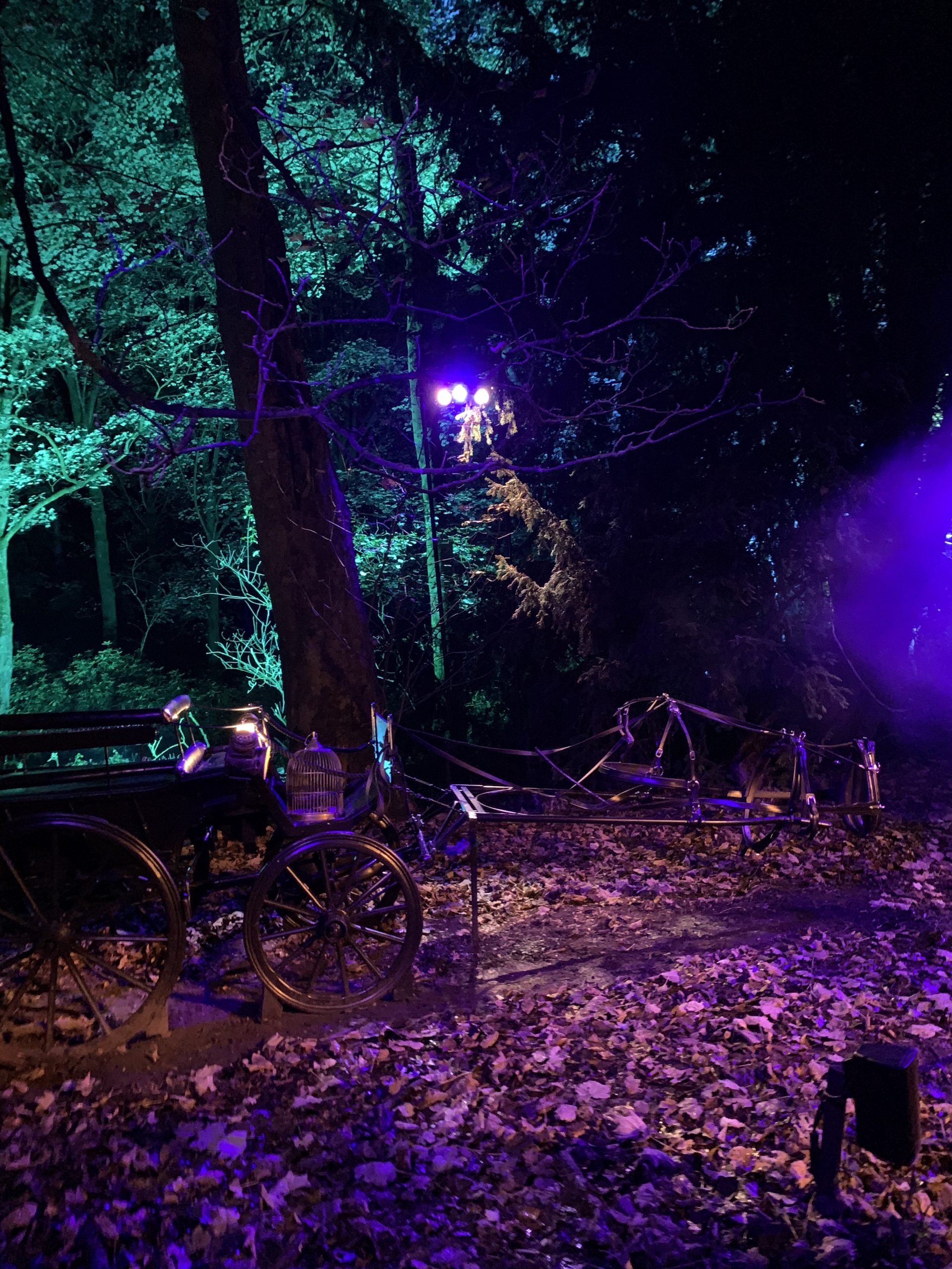 Interesting things from the Wizzarding World at the Harry Potter Forbidden Forest experience