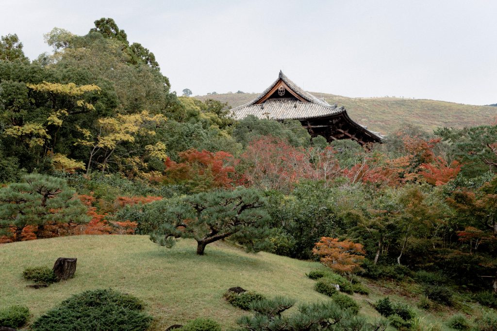 Isuen garden in Nara Japan
