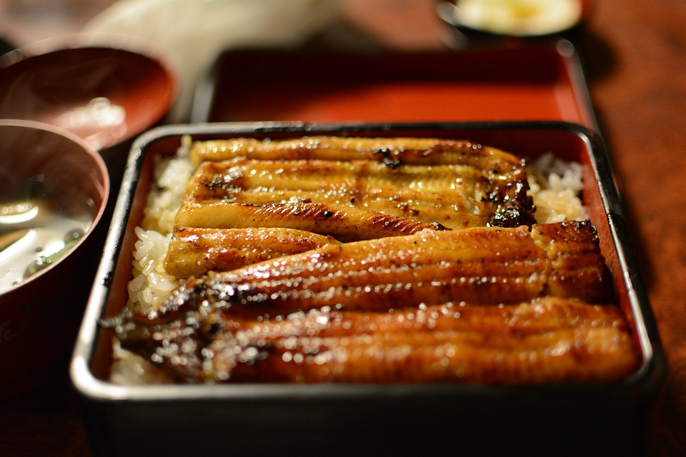 Japanese eel unagi no kabayaki