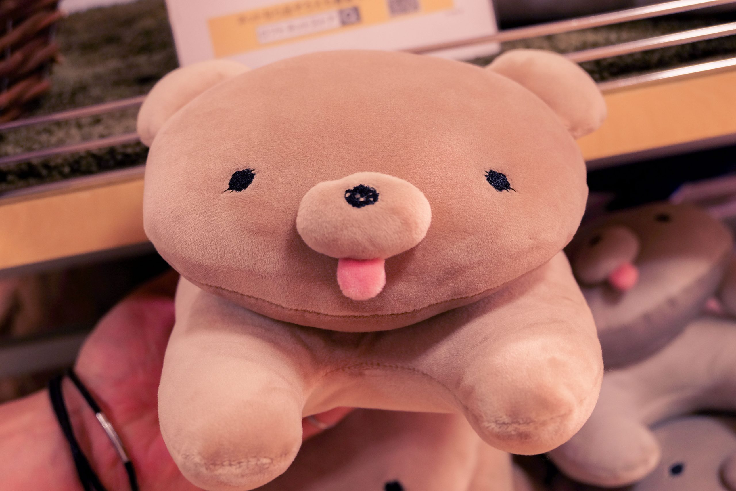 Japanese kawaii bear