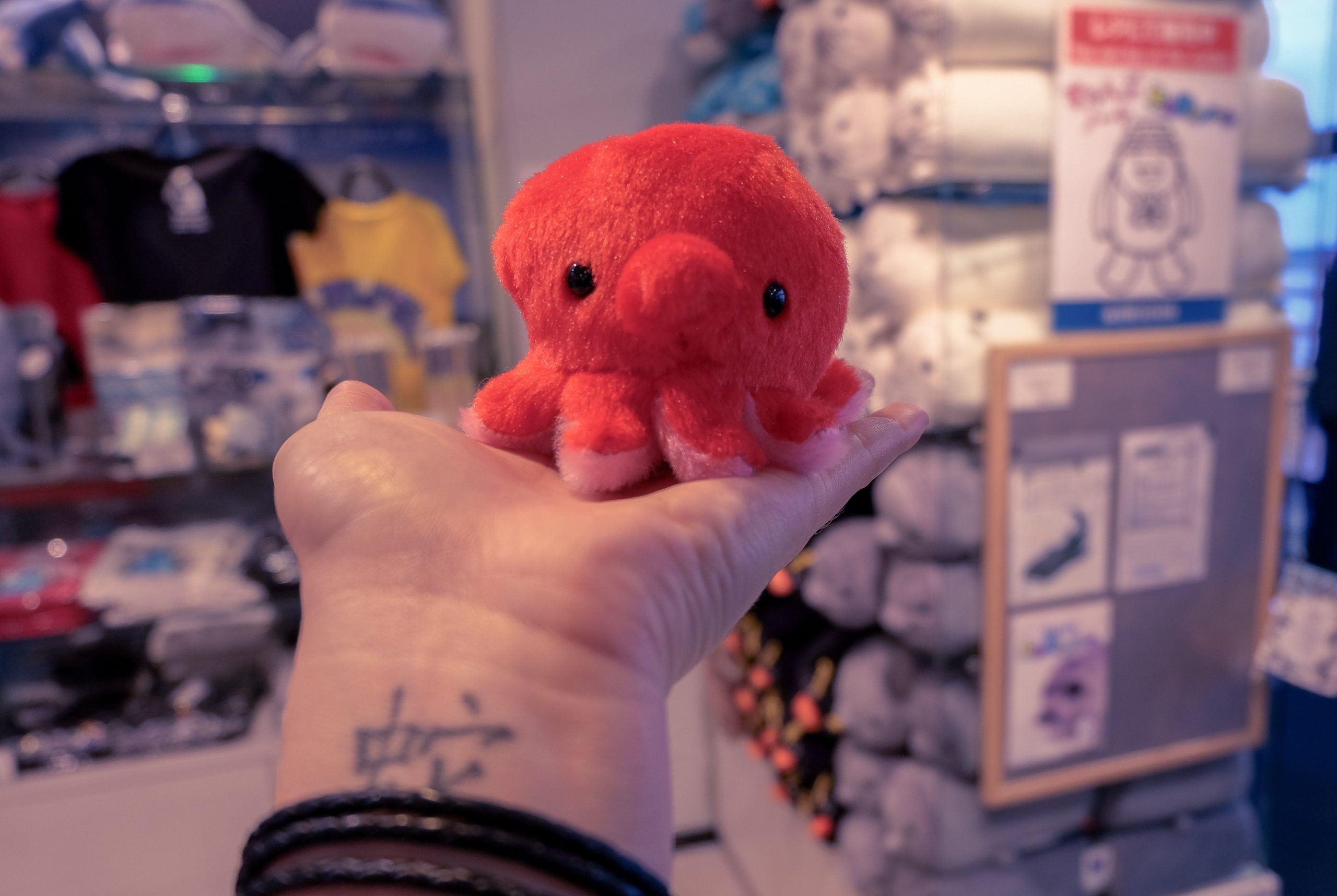 Japanese kawaii octopus