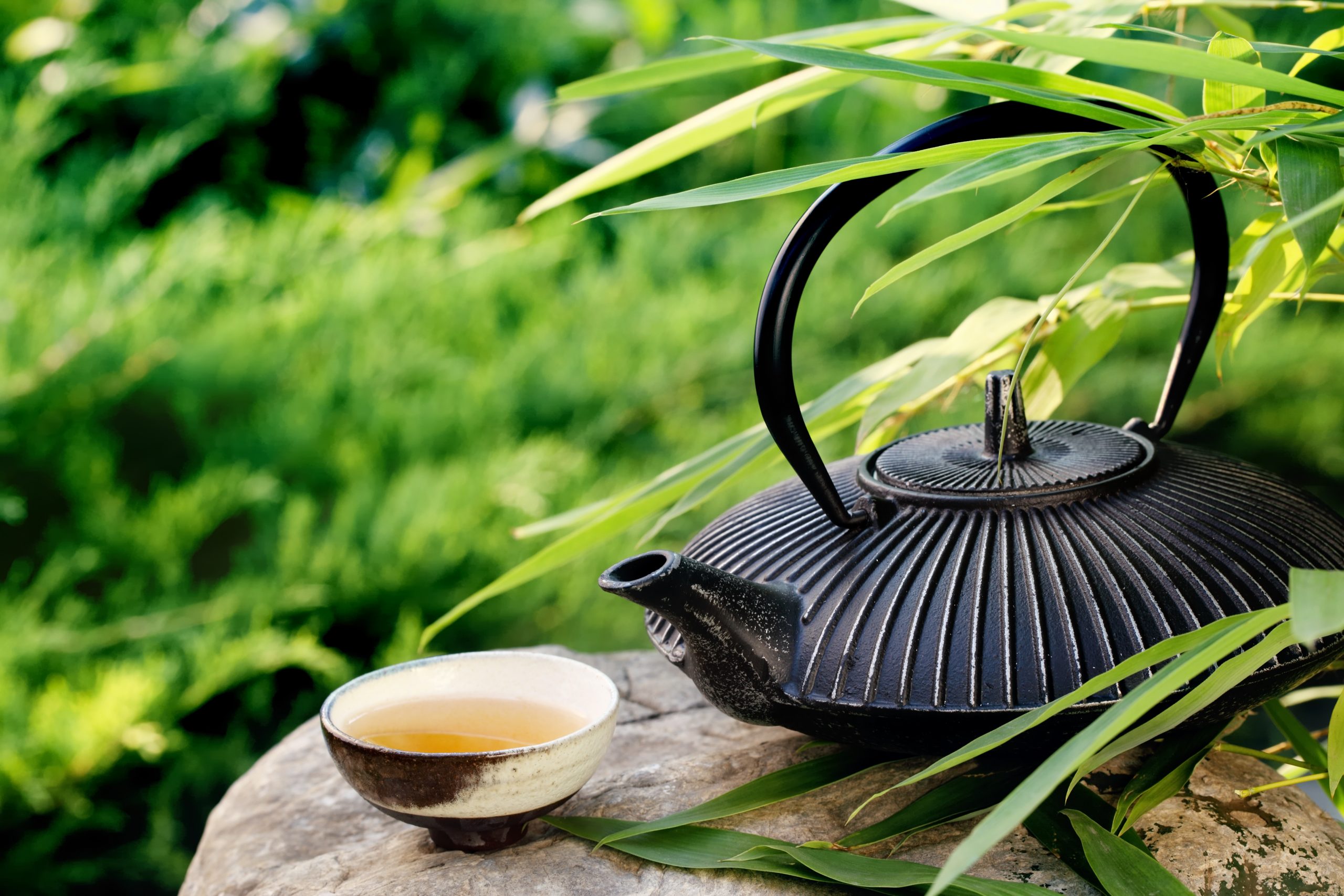 Japanese Matcha Tea Nature Ritual