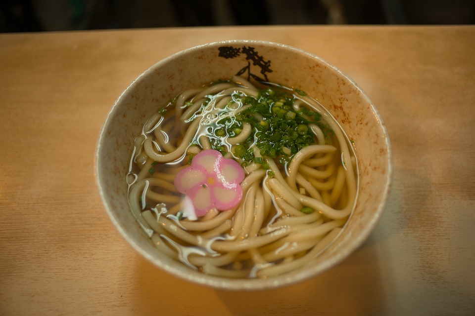 Japanese Udon Noddles