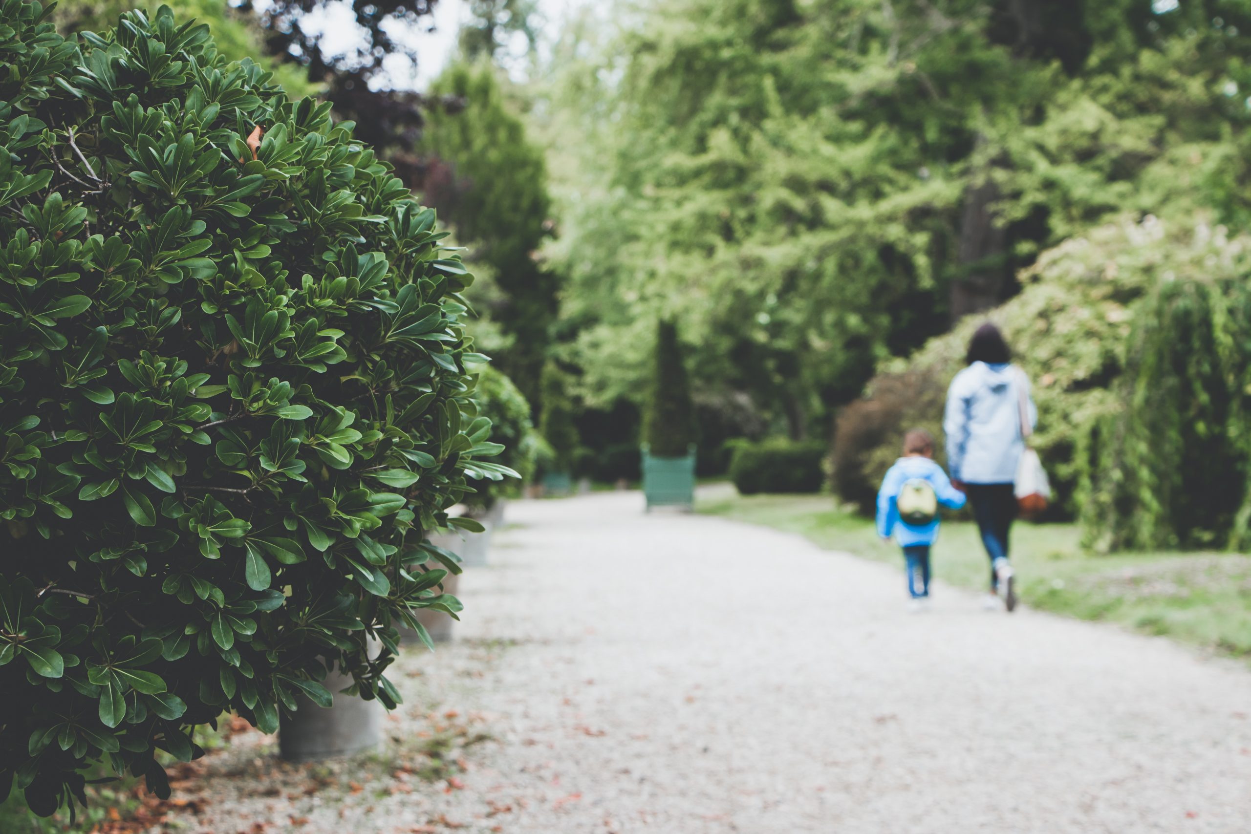 Jardin des Plantes