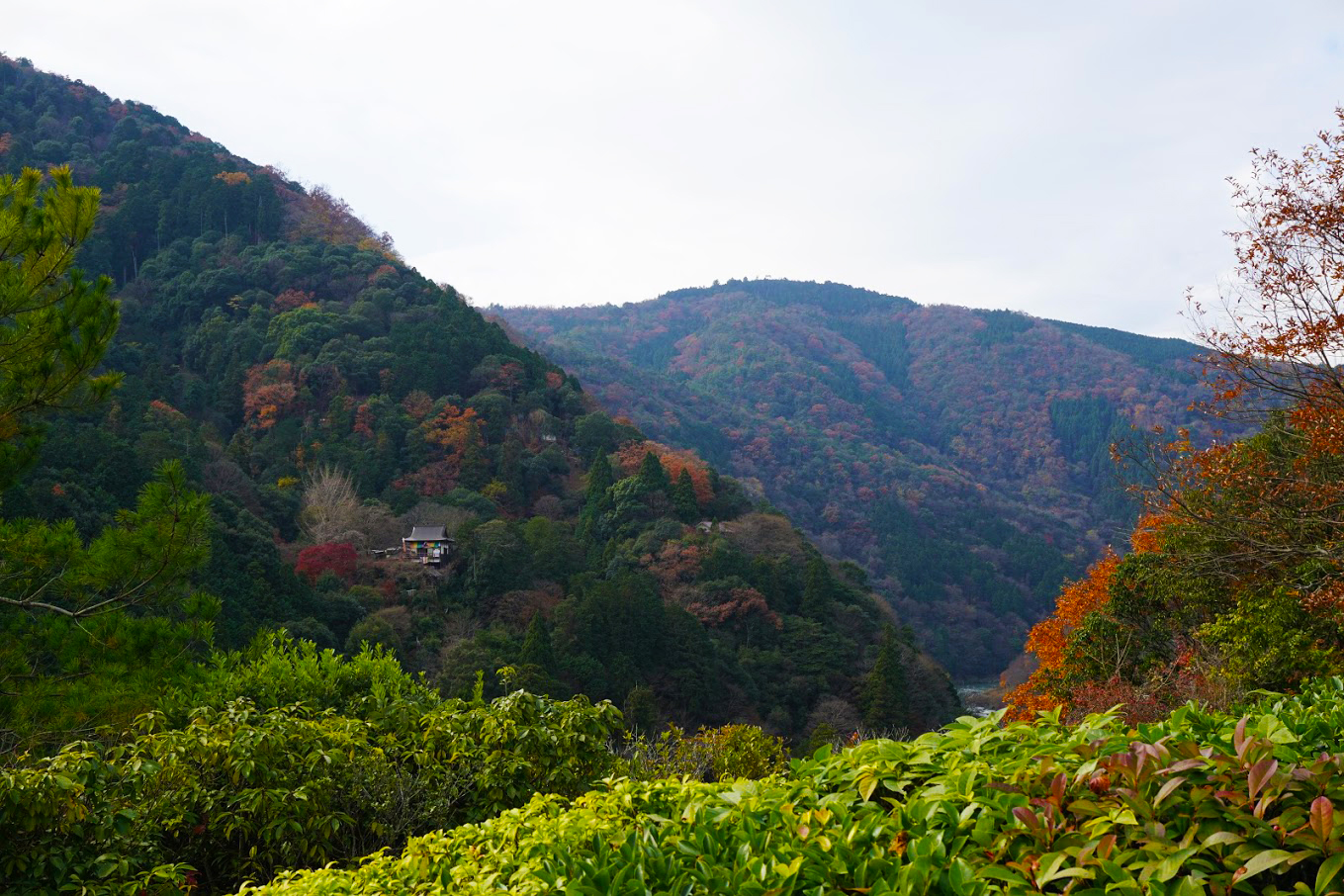 Kyoto Mountain View