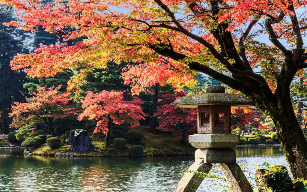 Autumn foliage at Kenrokuen Garden in Kanazawa