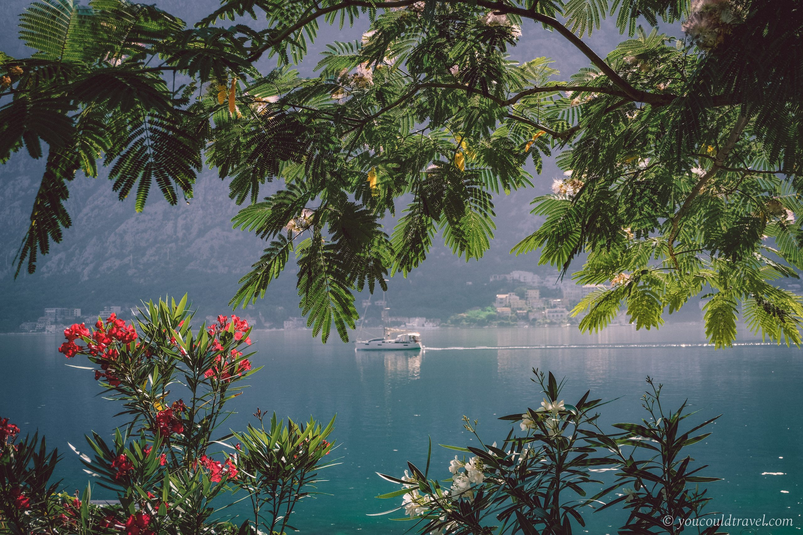 Kayak in Kotor