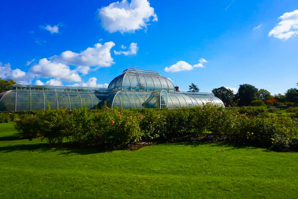 Kew Gardens Palm House