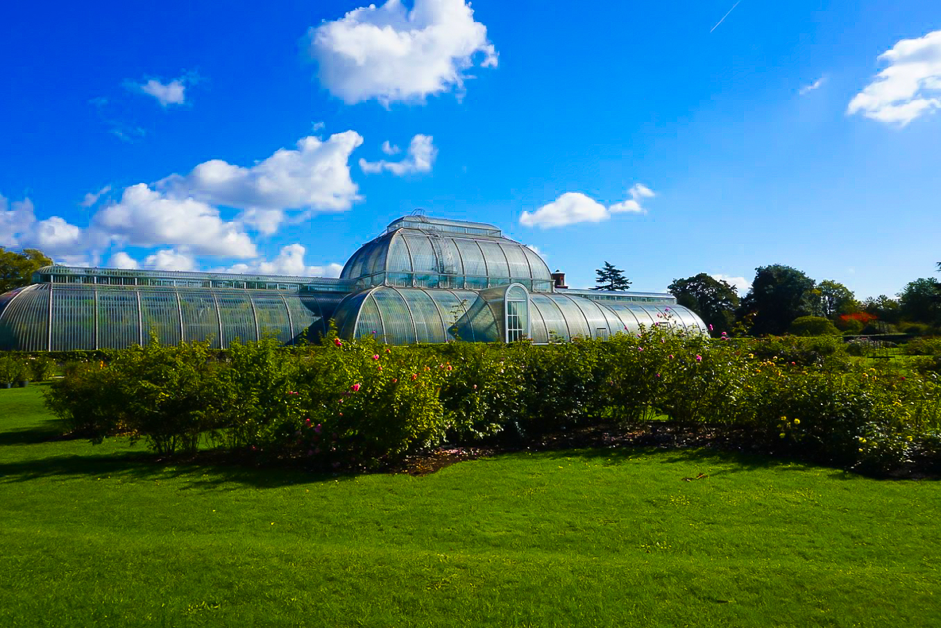 Why you need to visit the Kew Gardens – You Could Travel