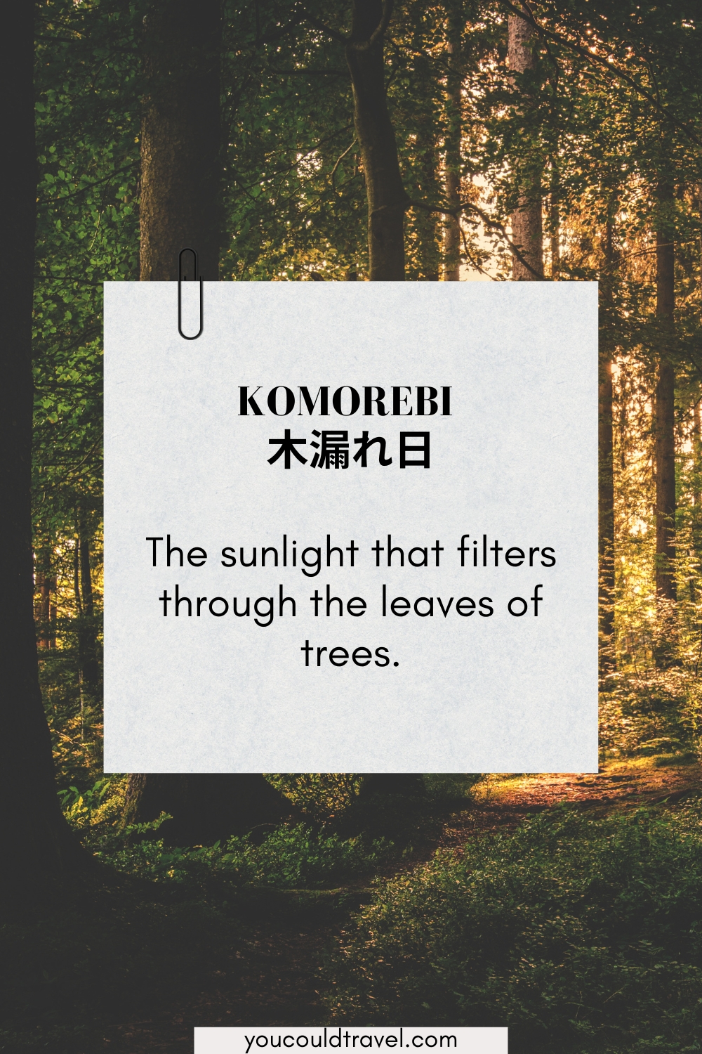 Komorebi - sunlight that filters through the leaves of tree Komorebi - sunlight that filters through the leaves of tree