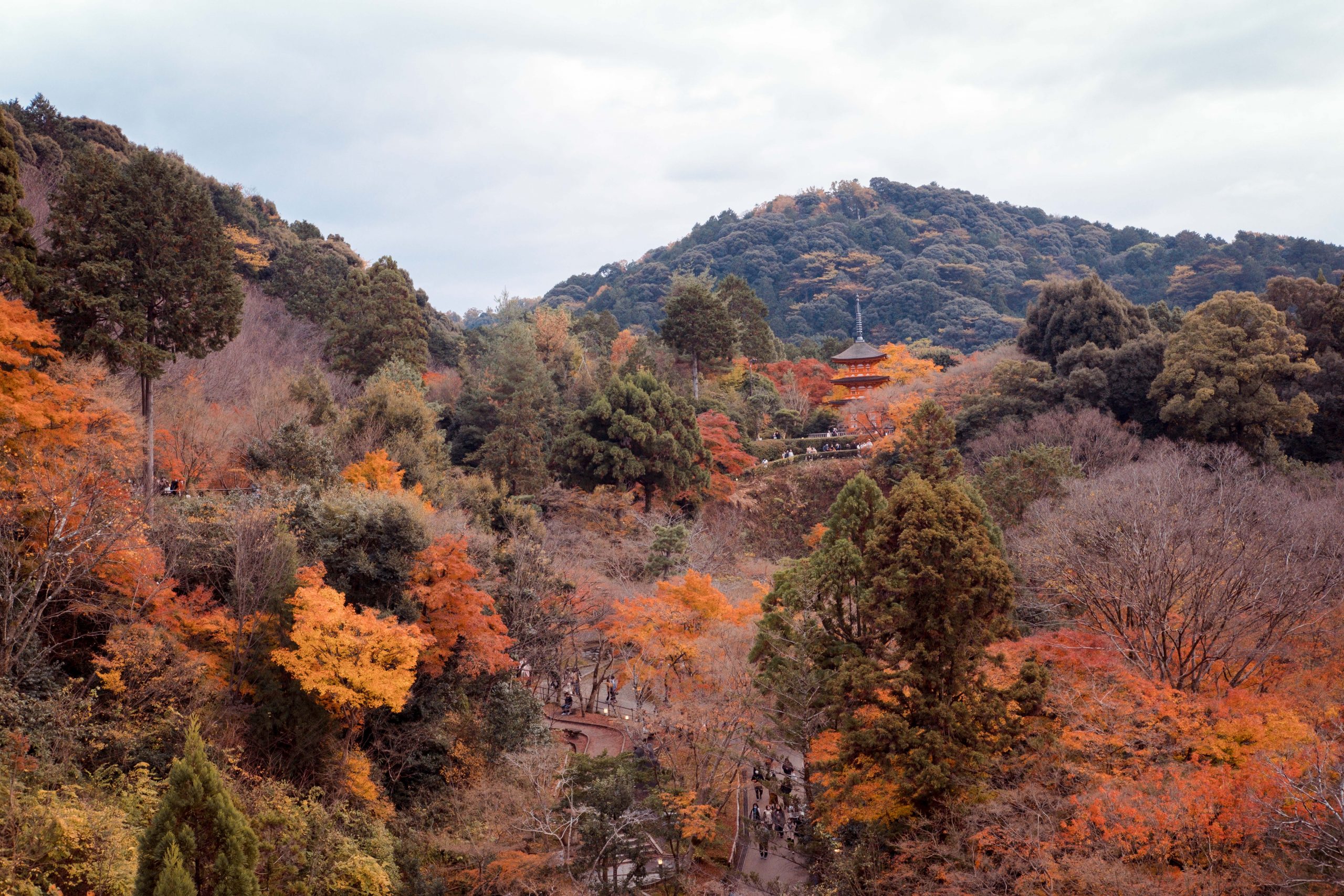 Kyoto Kiyomizu Dera Valley Autumn Colours Kyoto Kiyomizu Dera Valley Autumn Colours