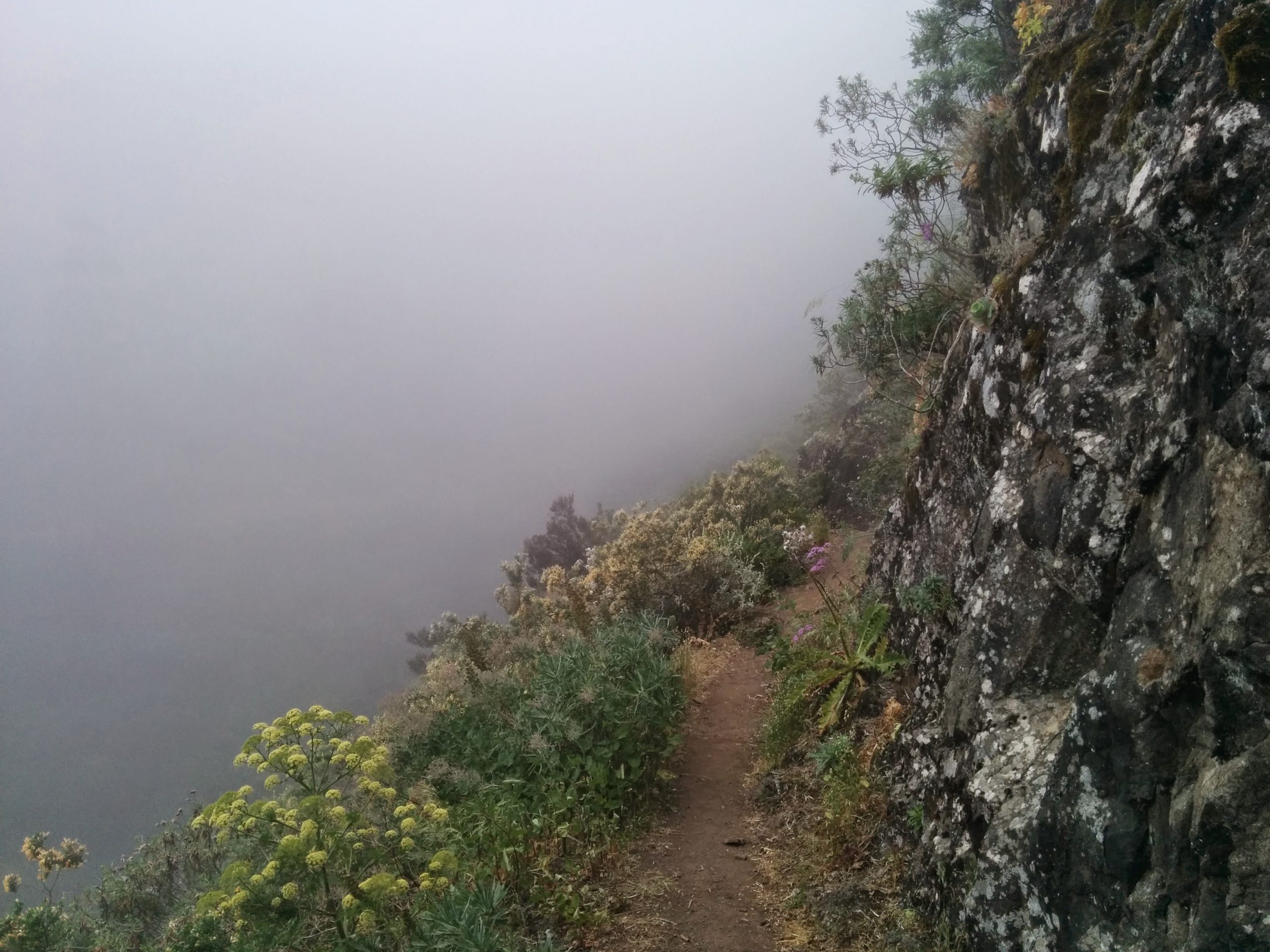 La Caldera Trail Tenerife La Caldera Trail Tenerife
