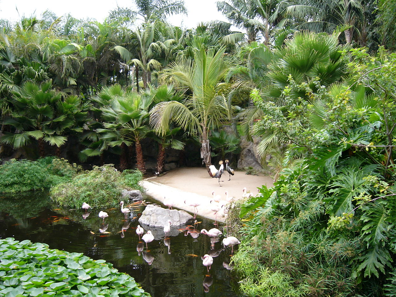 Loro Parque Tenerife Loro Parque Tenerife