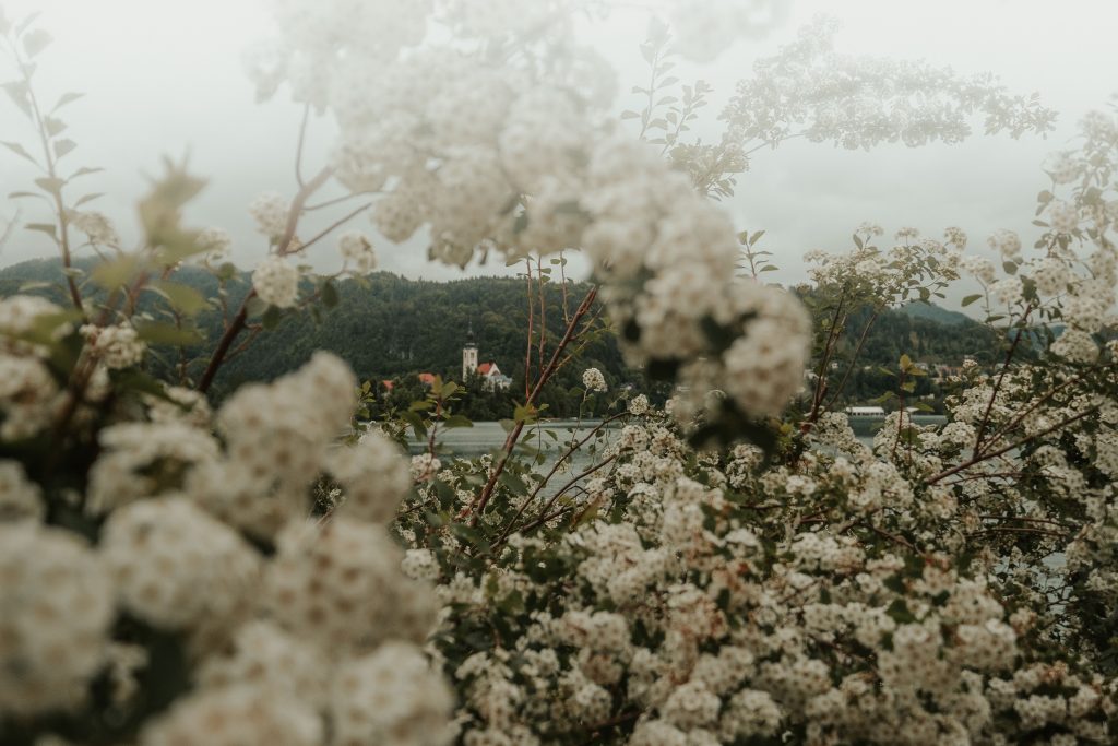 Lake Bled beautiful summer with rain and mist