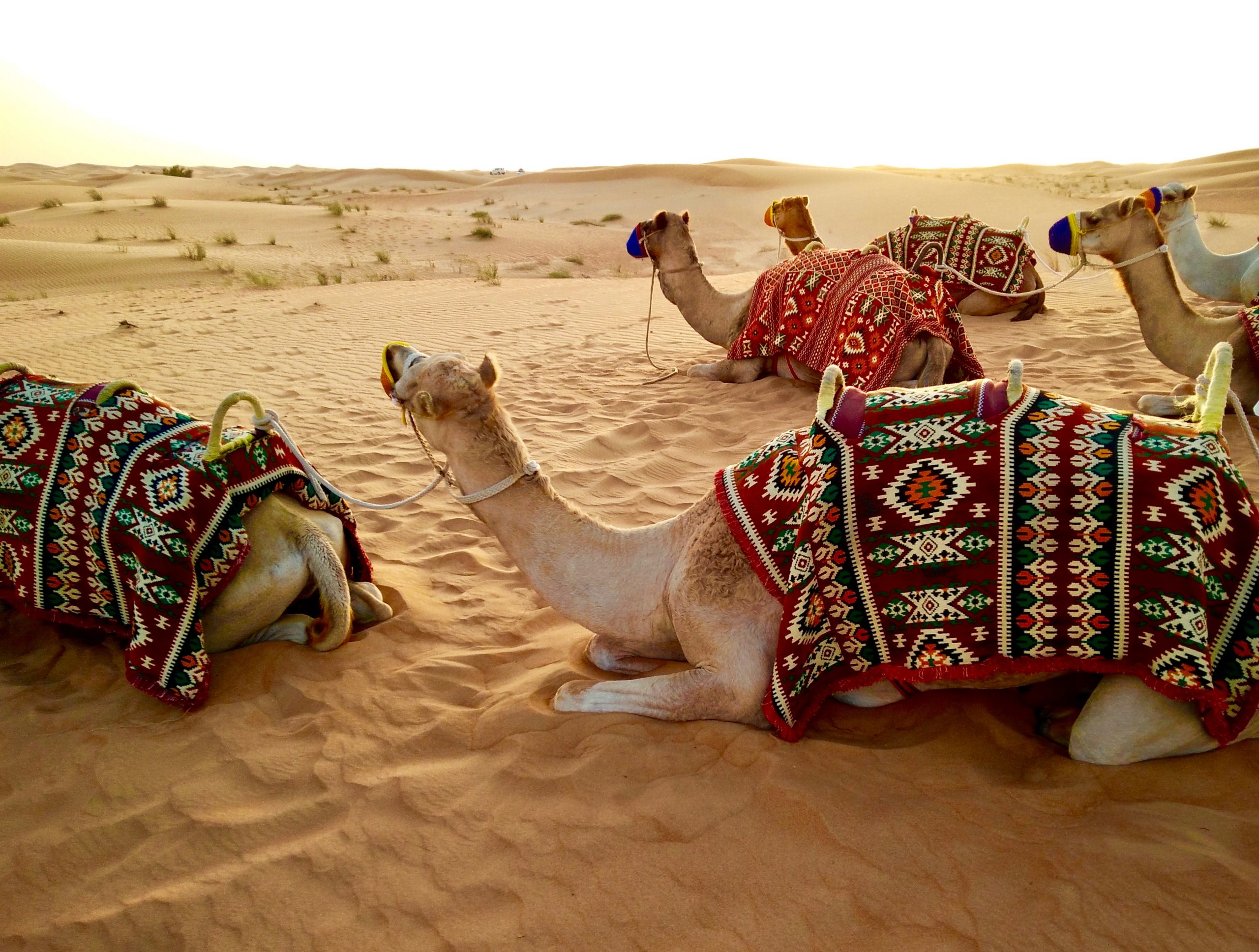 Landscapes Middle East Landscapes Middle East